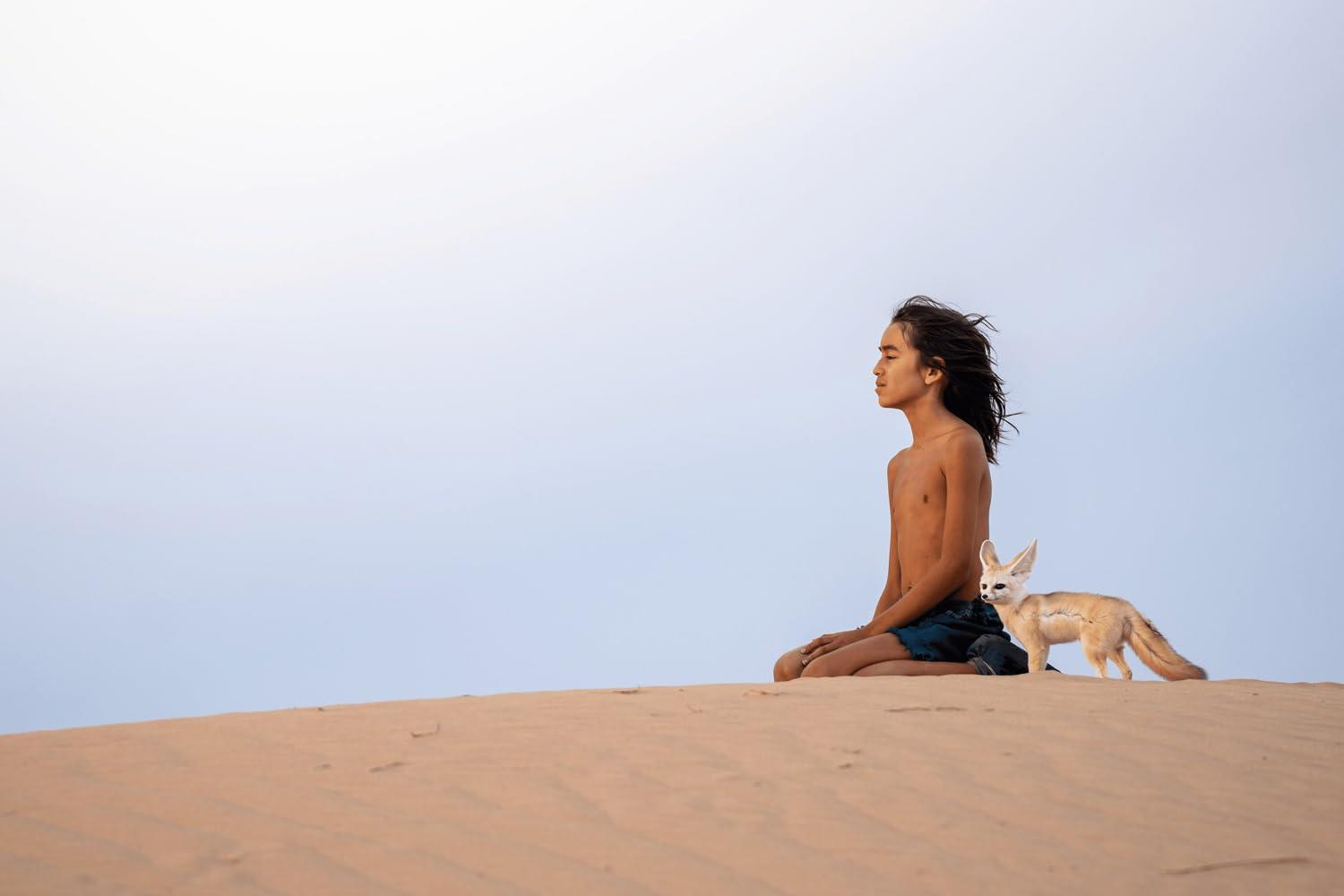 Ein Junge und ein Fennek sitzen auf einer Sanddüne im Freien.