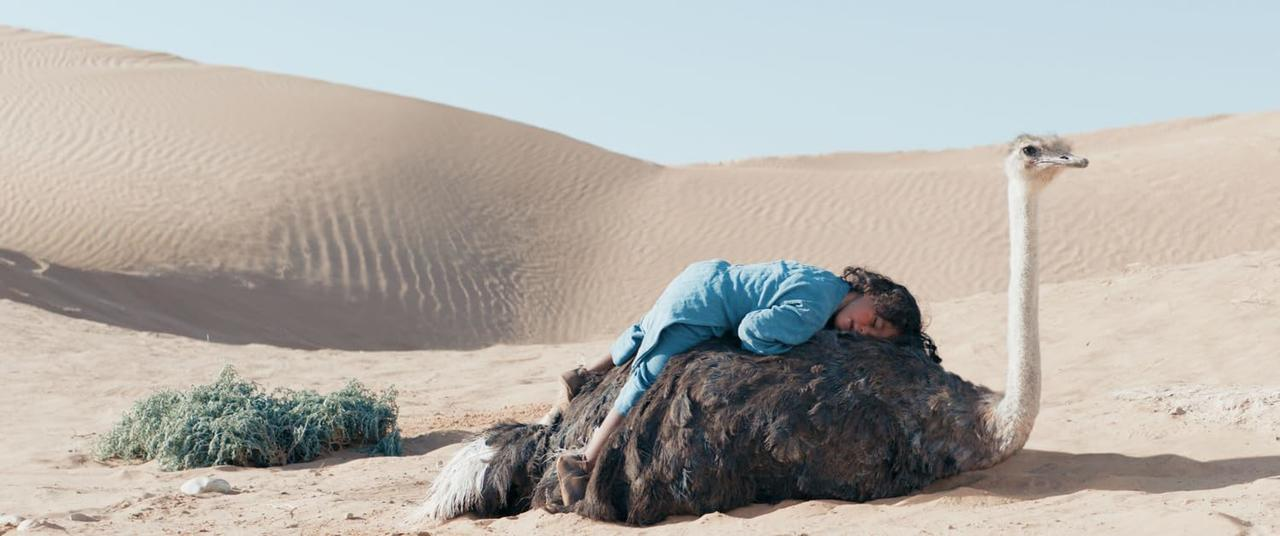 Ein Kind in einem blauen Outfit schläft auf dem Rücken eines Straußes in einer Wüstenlandschaft mit Sanddünen und spärlicher Vegetation.