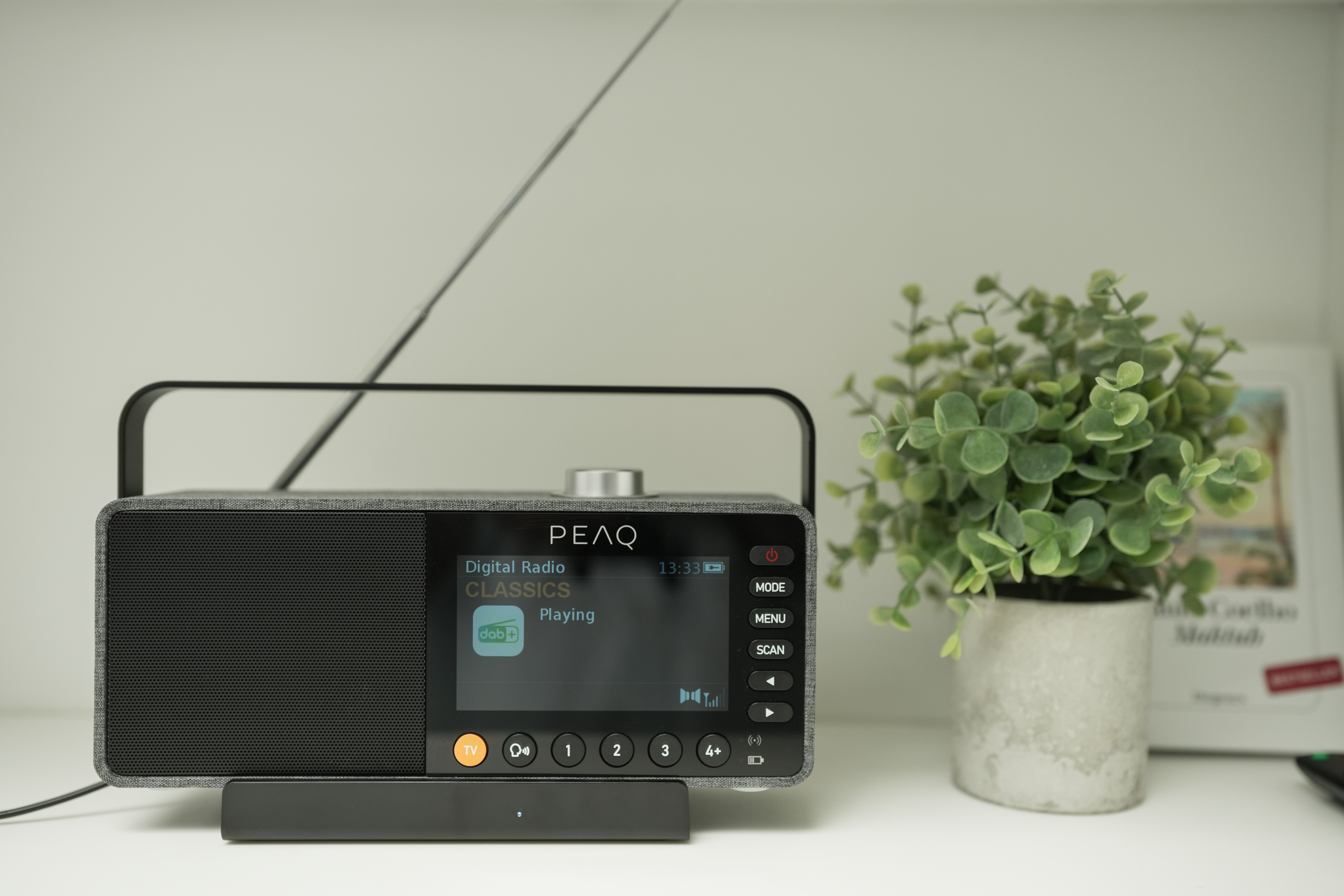 Ein graues Digitalradio mit Bildschirm steht auf einem Ständer, daneben ein grüner Topf.