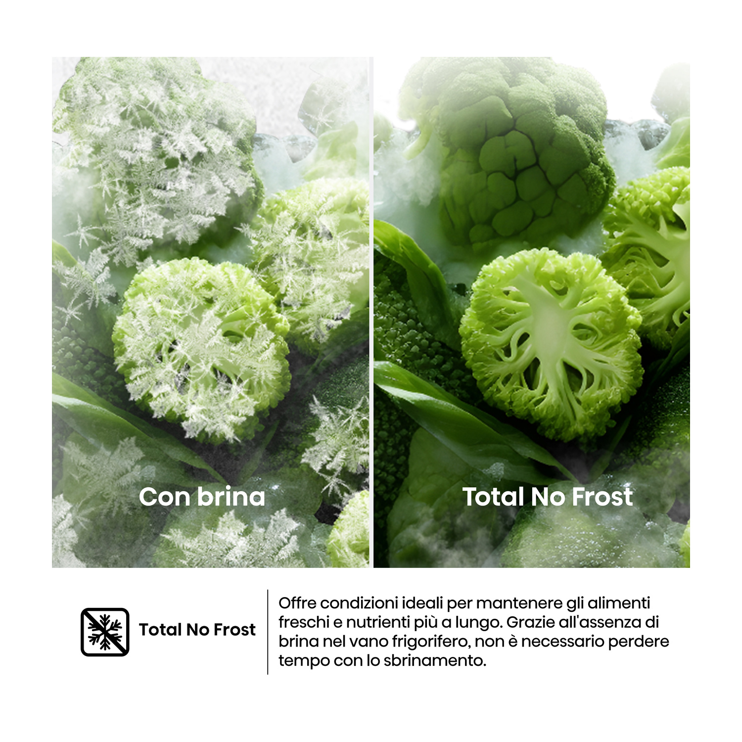 Broccoli ghiacciato a sinistra, broccoli freschi a destra. "Total No Frost".
