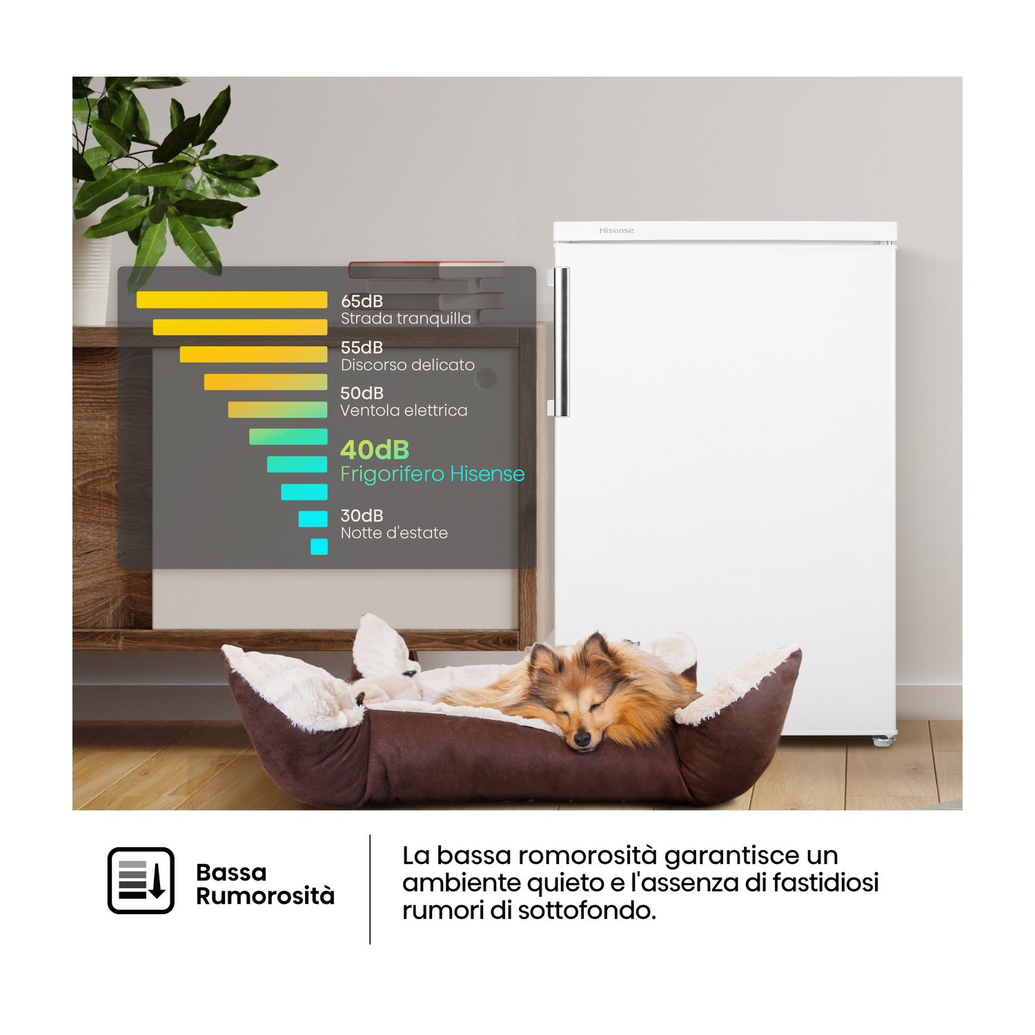 Un cane dorme in una cuccia davanti a un frigorifero Hisense. È visibile un grafico dei decibel.