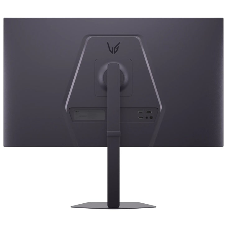Parte trasera de un monitor con logo LG y puertos.