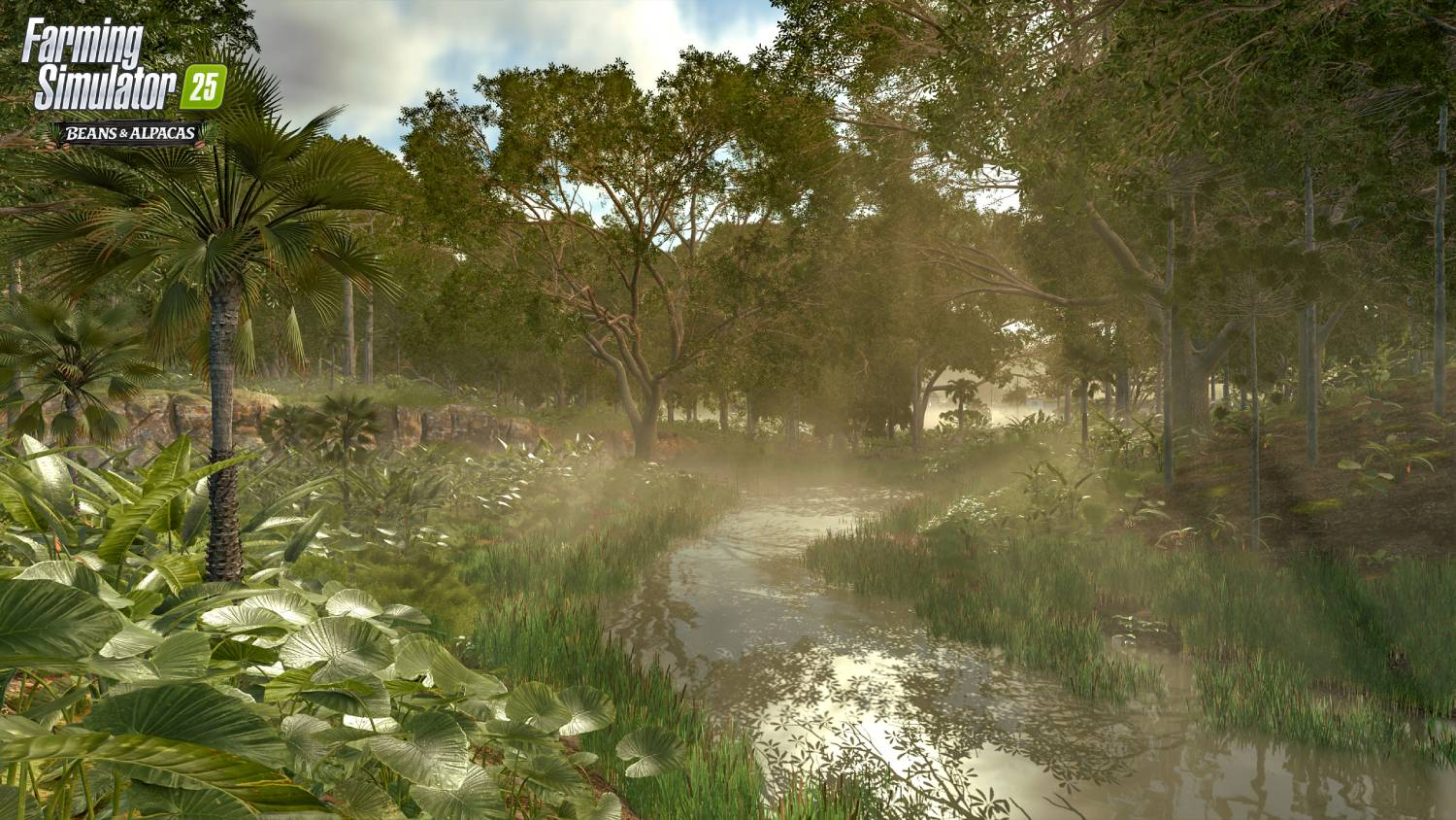 Un río serpentea a través de una jungla neblinosa con palmeras y vegetación exuberante.