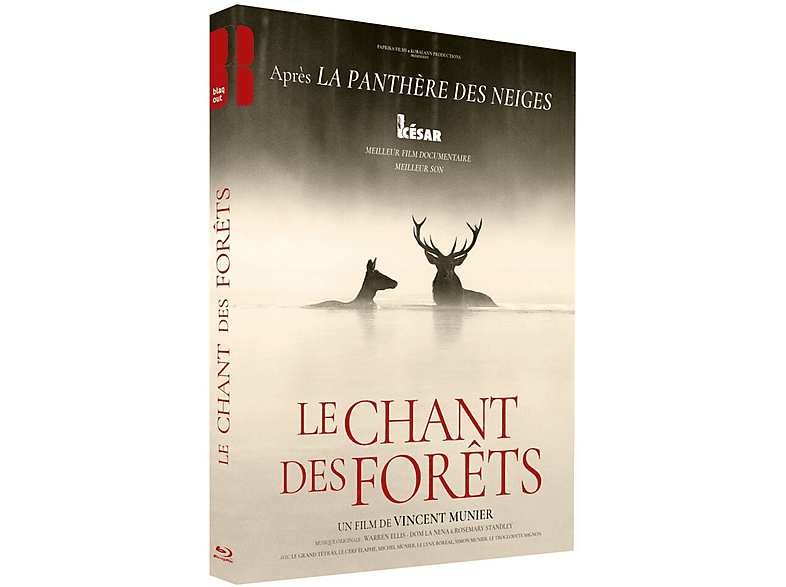 Le Chant Des Forêts Blu-ray
