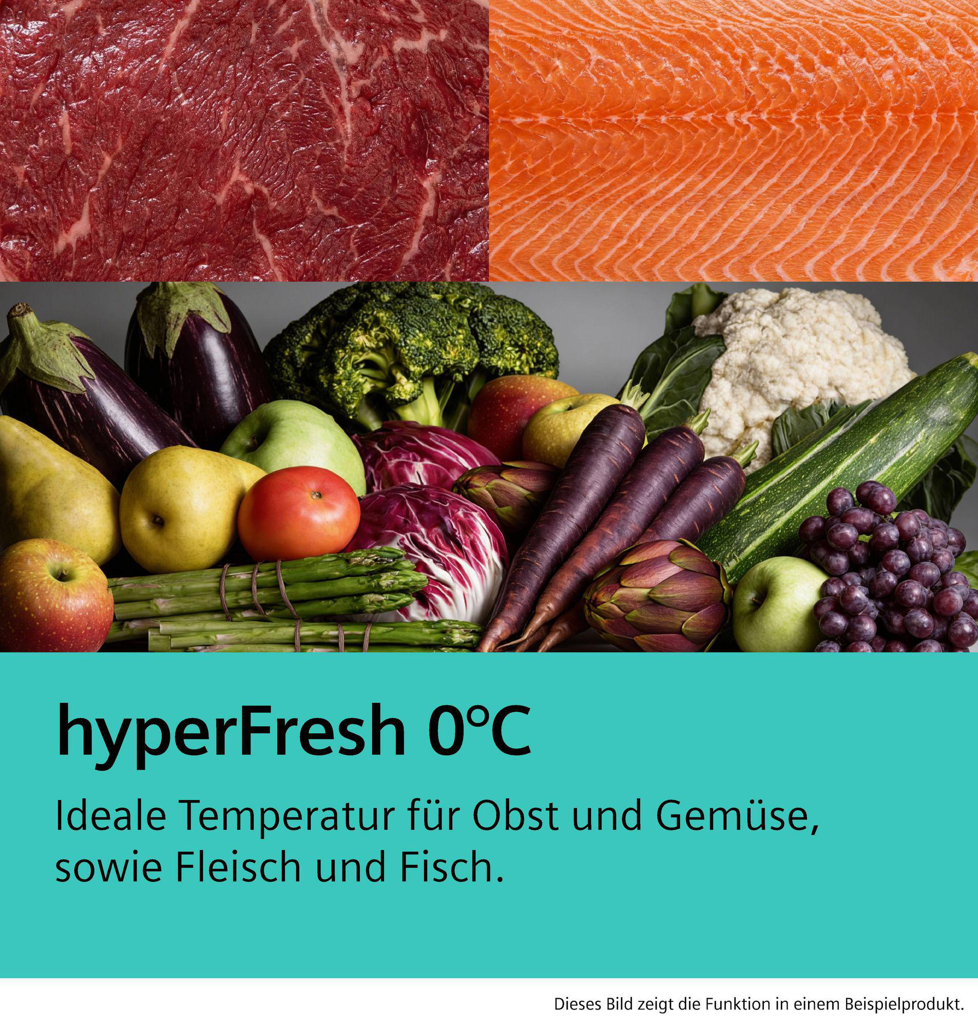 Rindfleisch, Lachs, Obst und Gemüse in einer Collage. Text: hyperFresh 0°C.