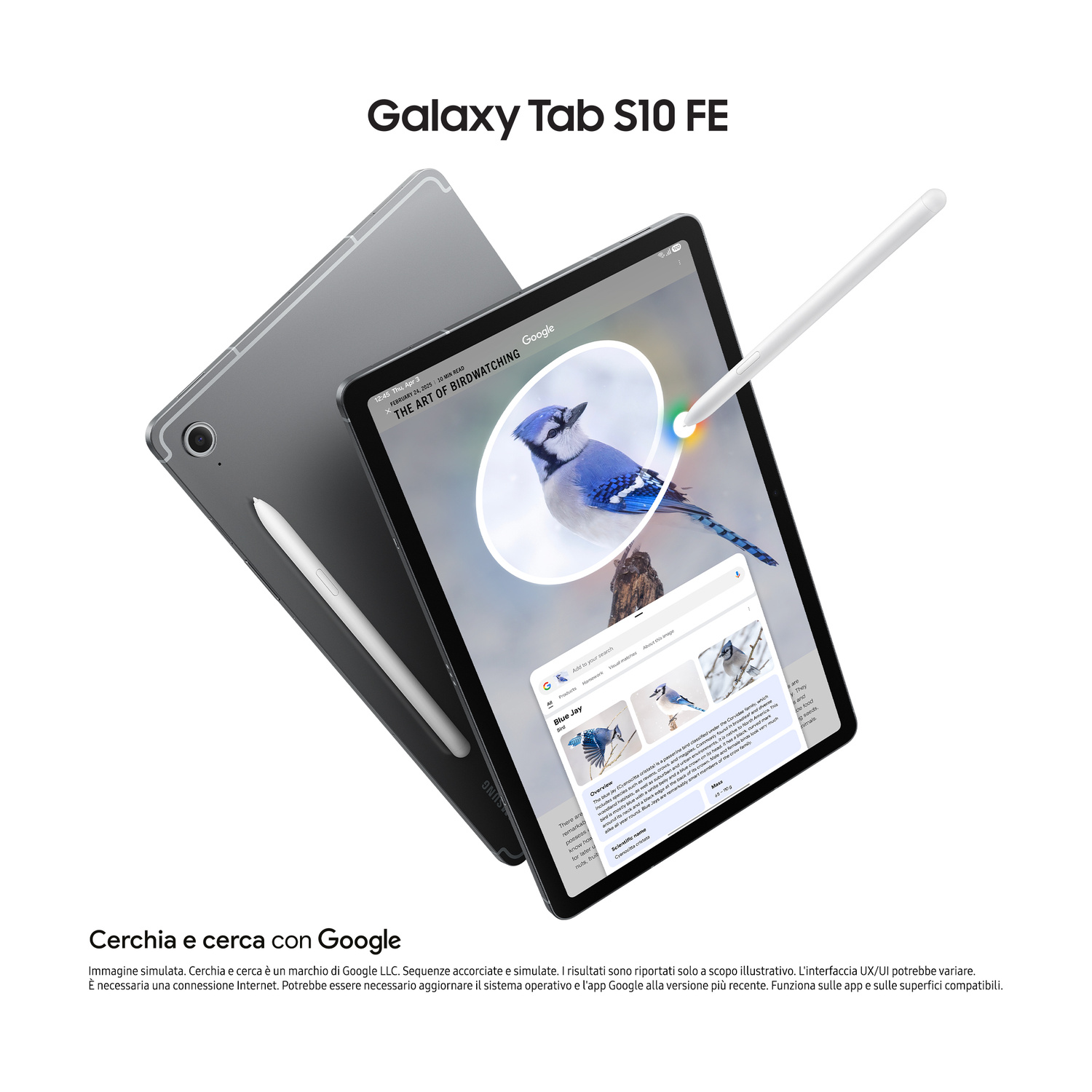 Un Samsung Tab S10 FE con stilo mostra una ricerca Google per il ghiandaia.