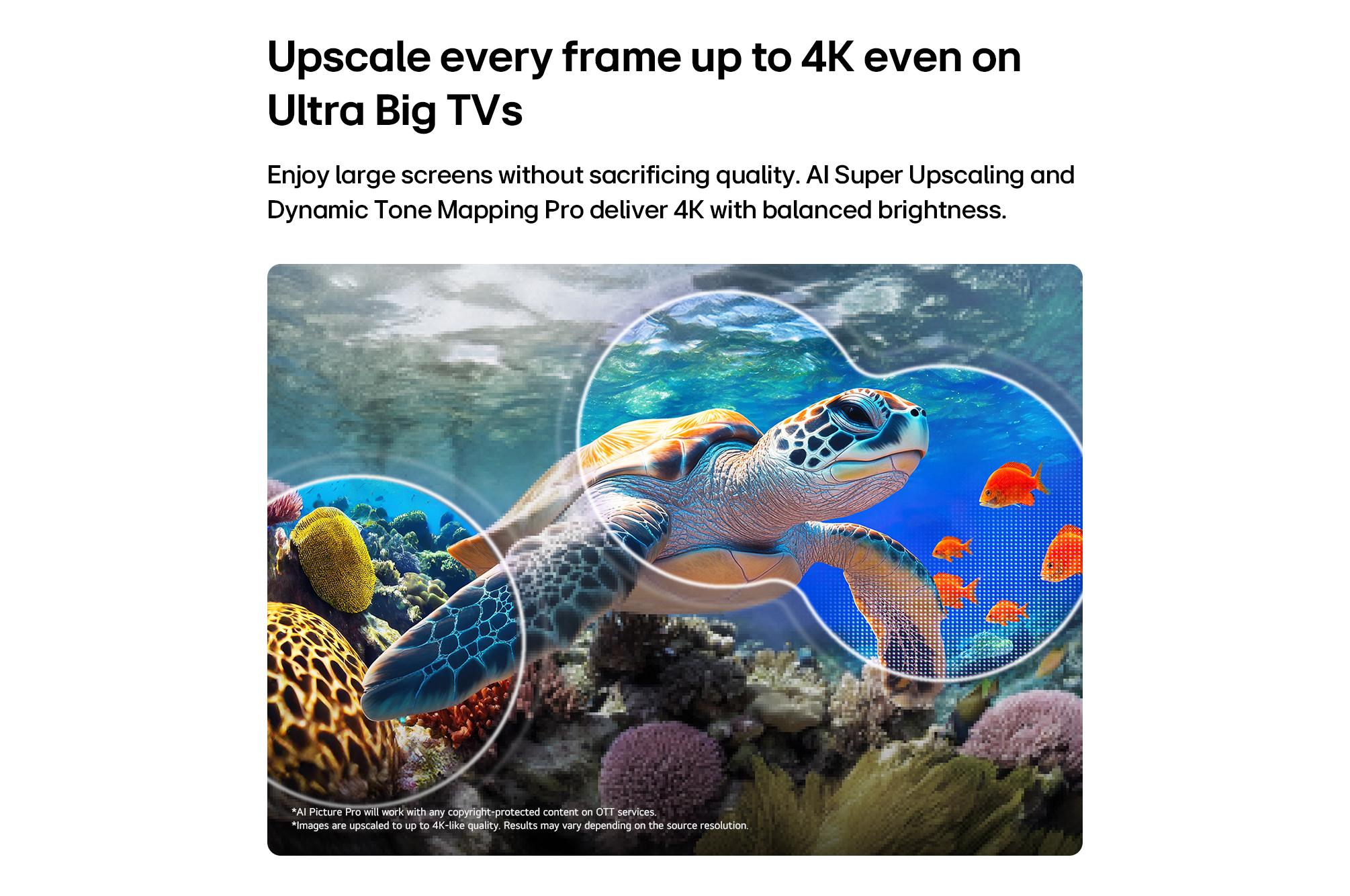 Une tortue de mer nage dans l'océan avec du corail et de petits poissons.