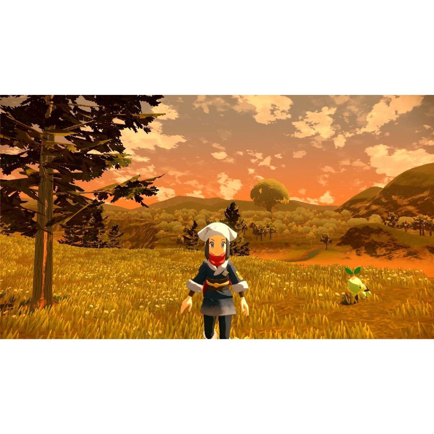 A character stands in a field of yellow flowers with a small green creature.