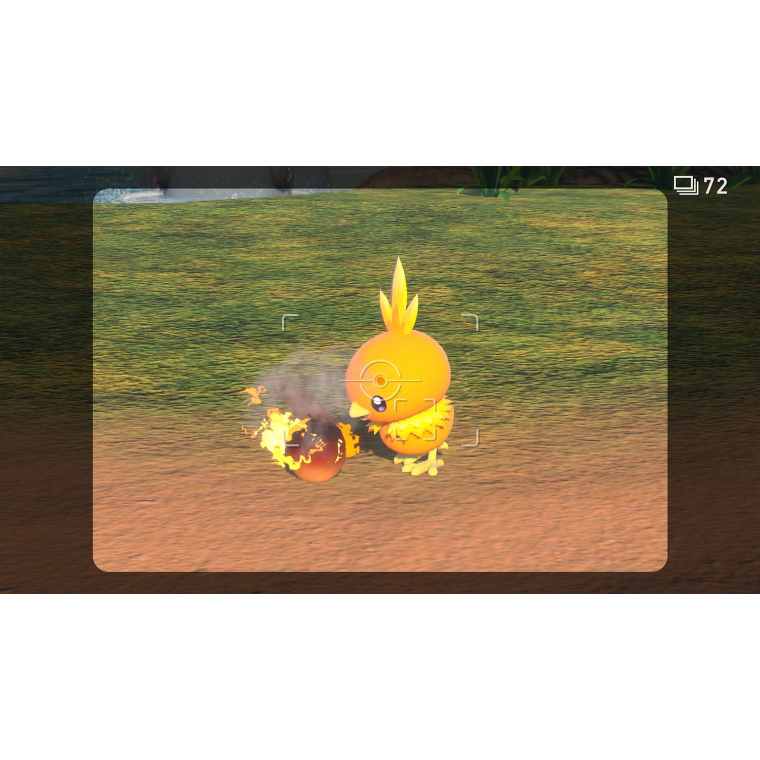 A small yellow bird with flames on its back stands on brown ground.