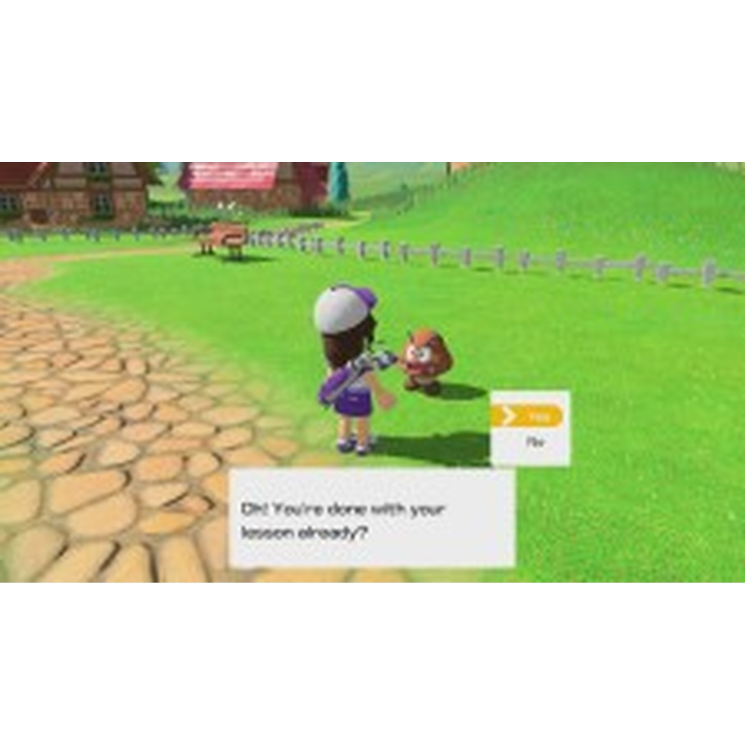 A purple character stands on a stone path next to a Goomba. Houses and green hills are in the background.