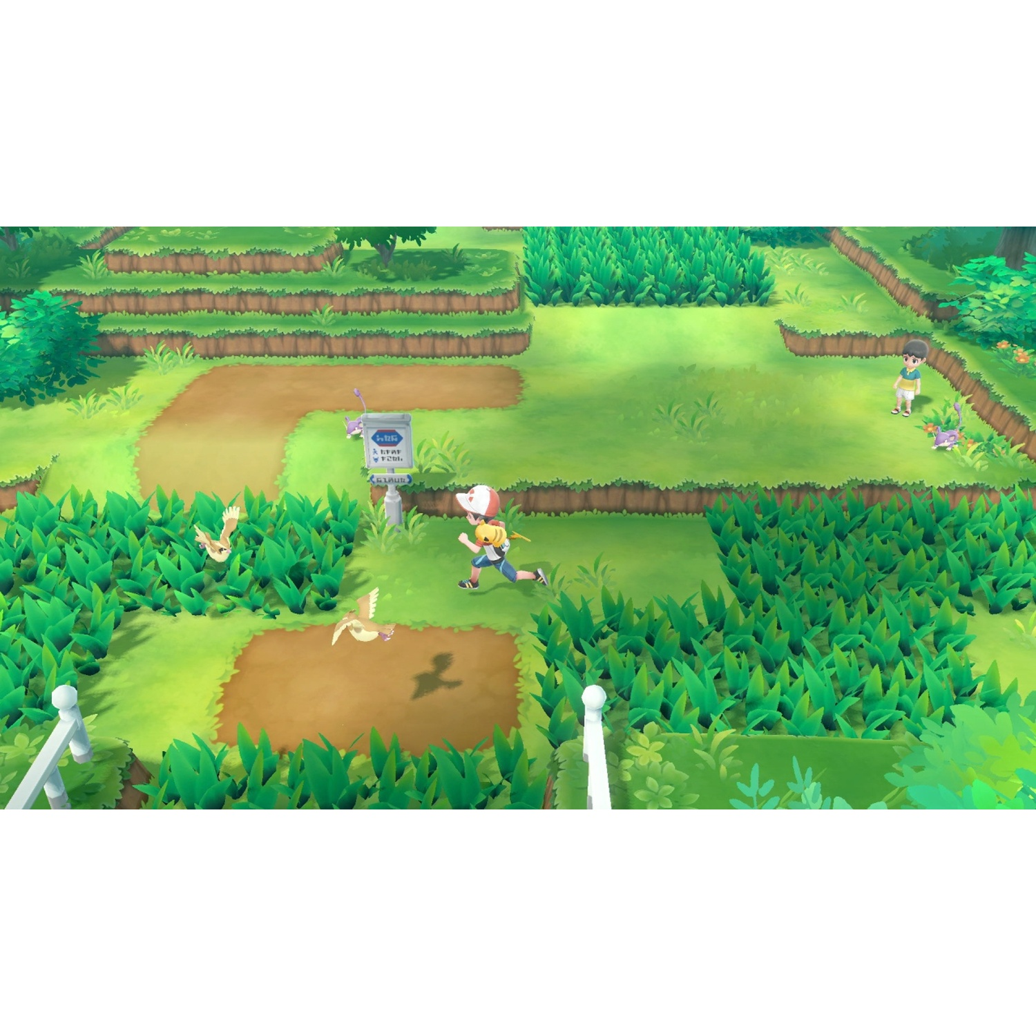 A boy with a backpack runs through a green landscape with trees and birds.