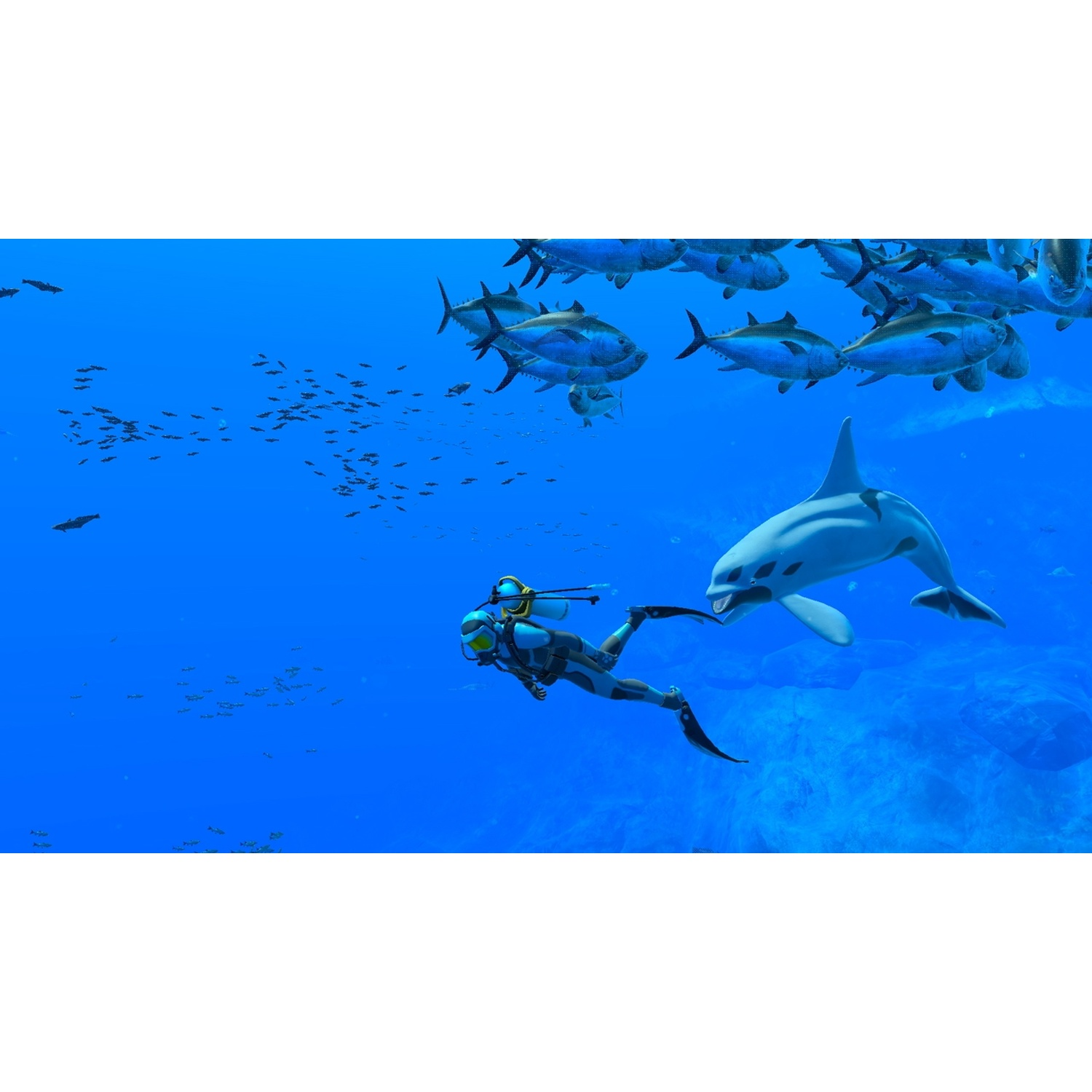 A diver swims near a whale and a large school of fish in blue water.