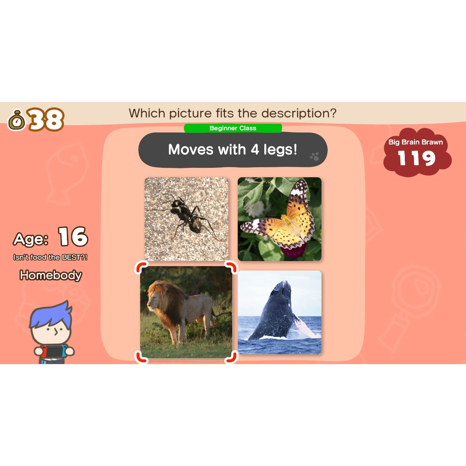A game with four pictures: ant, butterfly, lion, and whale.