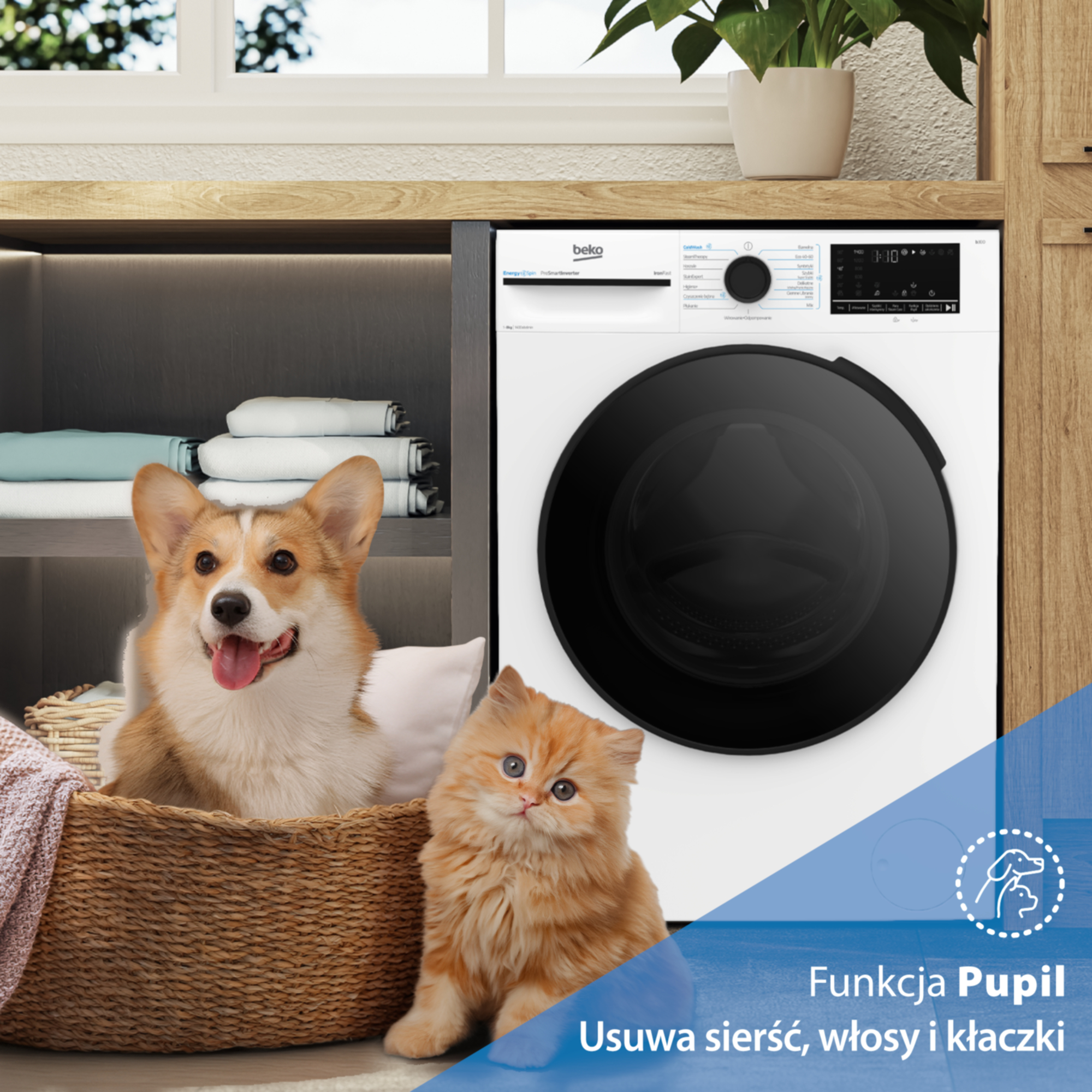 Corgi siedzi w koszu obok kociaka, w pobliżu pralka.