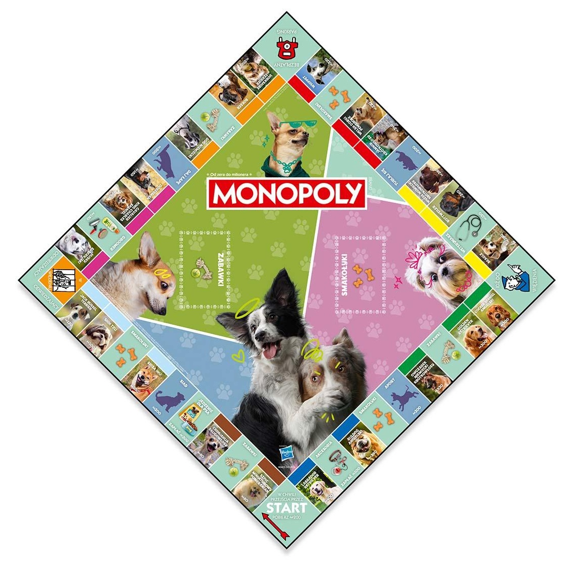 Plansza Monopoly z motywem psów i zdjęciami psów. Dwa psy na pierwszym planie.