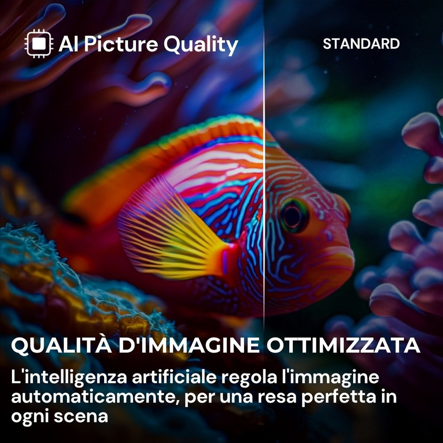 Qualità immagine AI vs. Standard: Un pesce colorato, lato sinistro AI potenziato, lato destro standard.