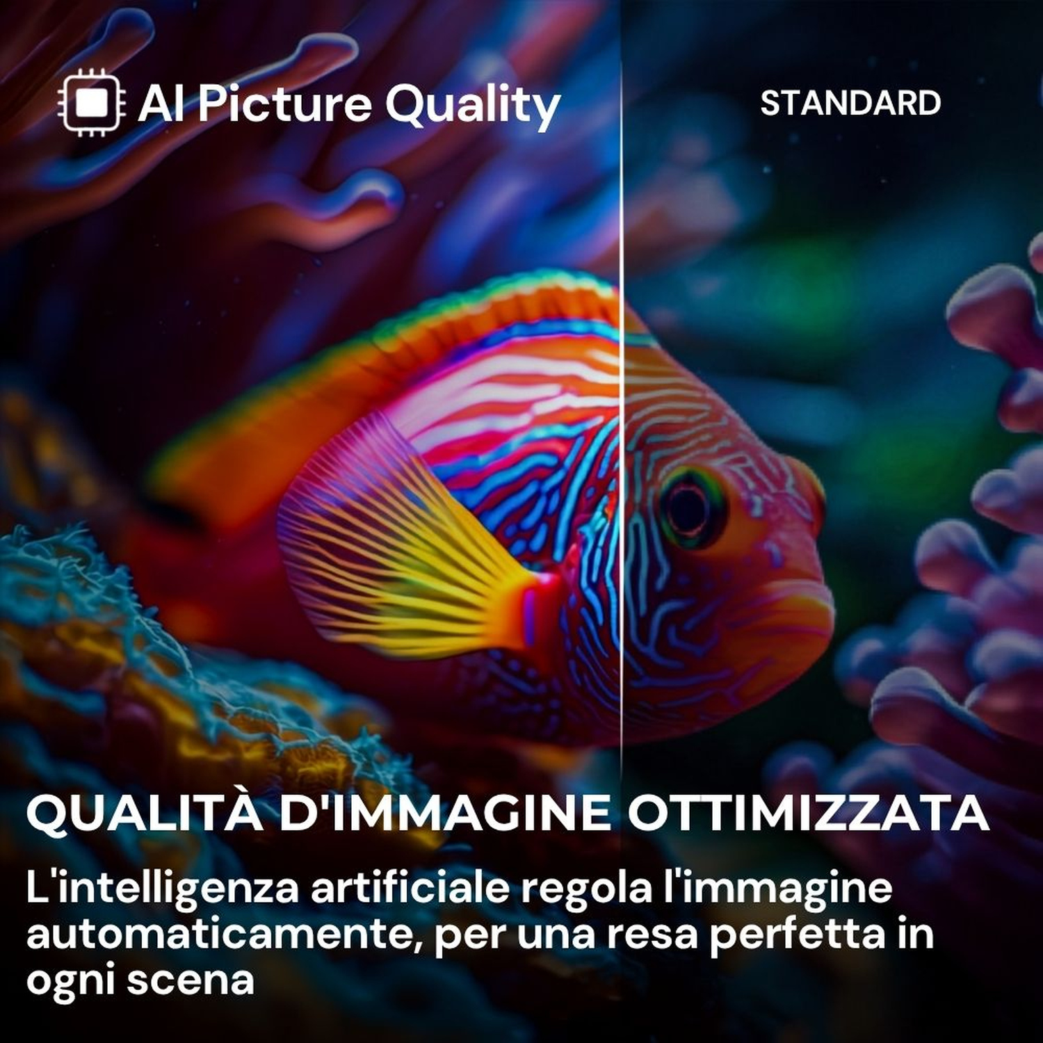 Confronto qualità immagine AI vs. Standard. Un pesce nel reef.