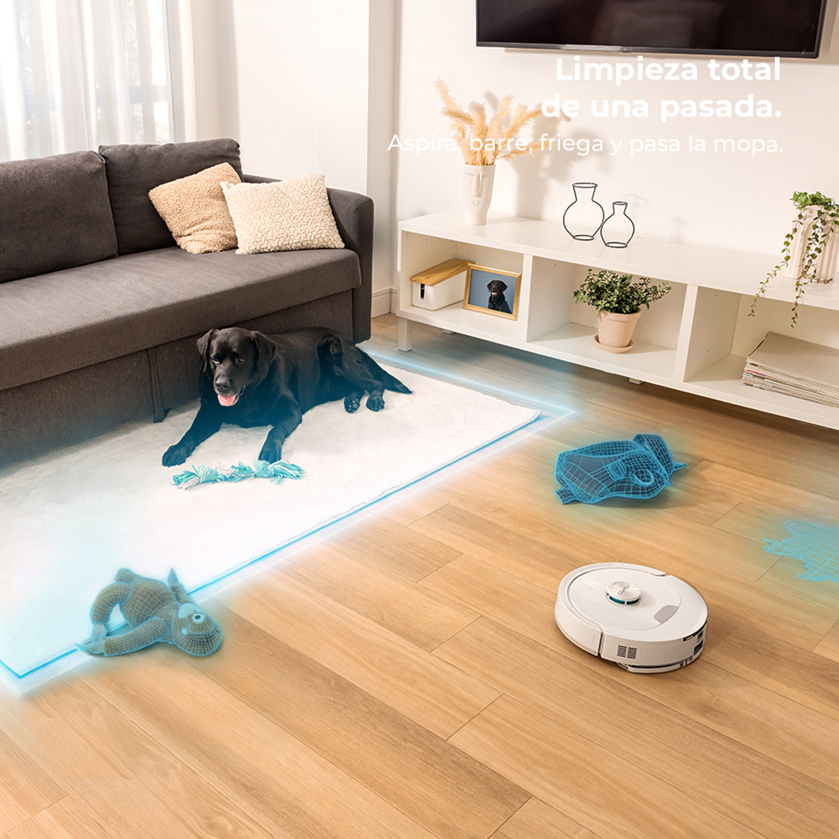 Un labrador negro yace en una alfombra cerca de un robot aspirador.