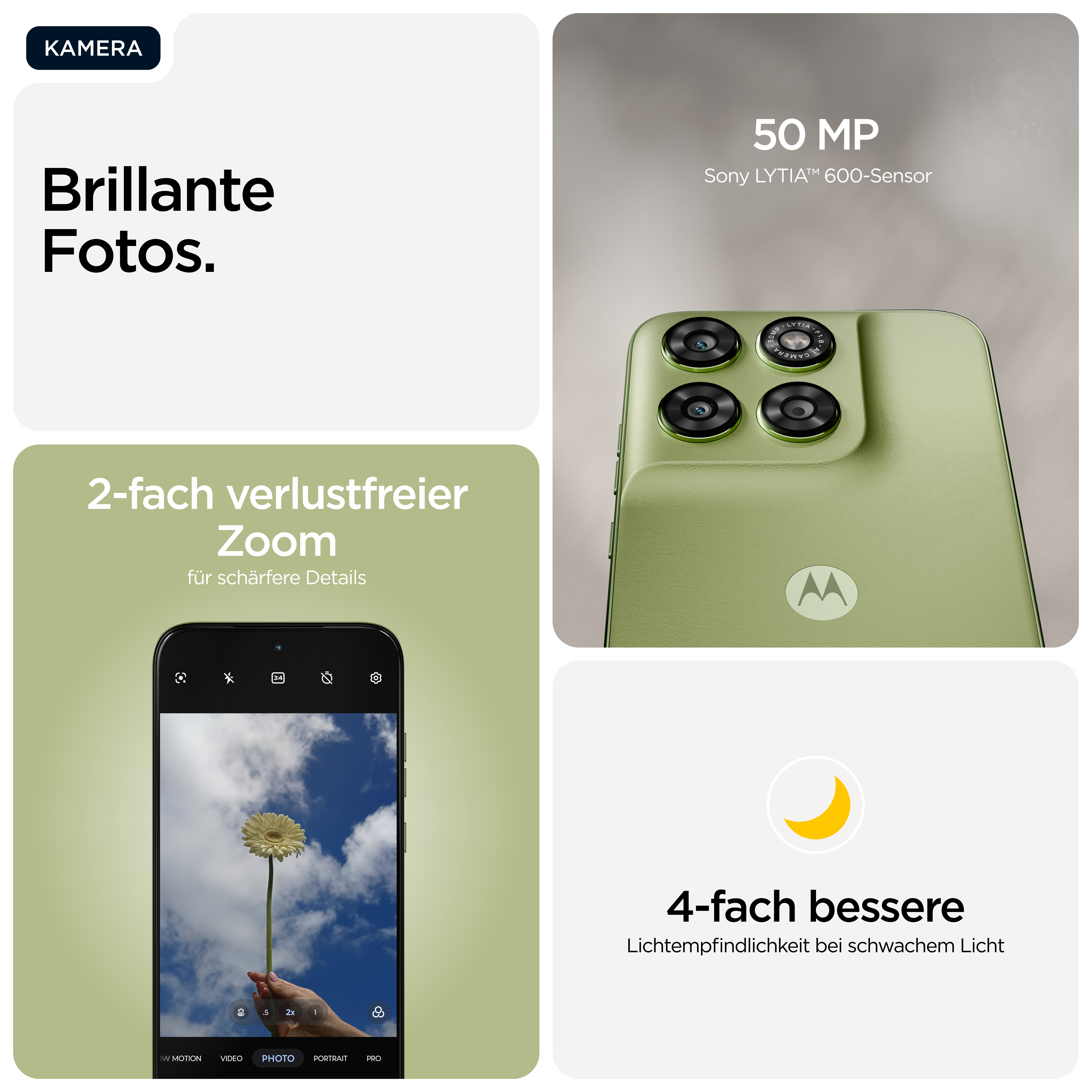 Handy mit vier Kameras, 50 MP, 2x Zoom, Handy-Display zeigt Blume.