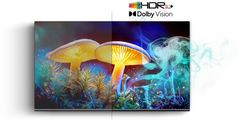 Világító gombák és moha köddel, HDR+ és Dolby Vision logók.