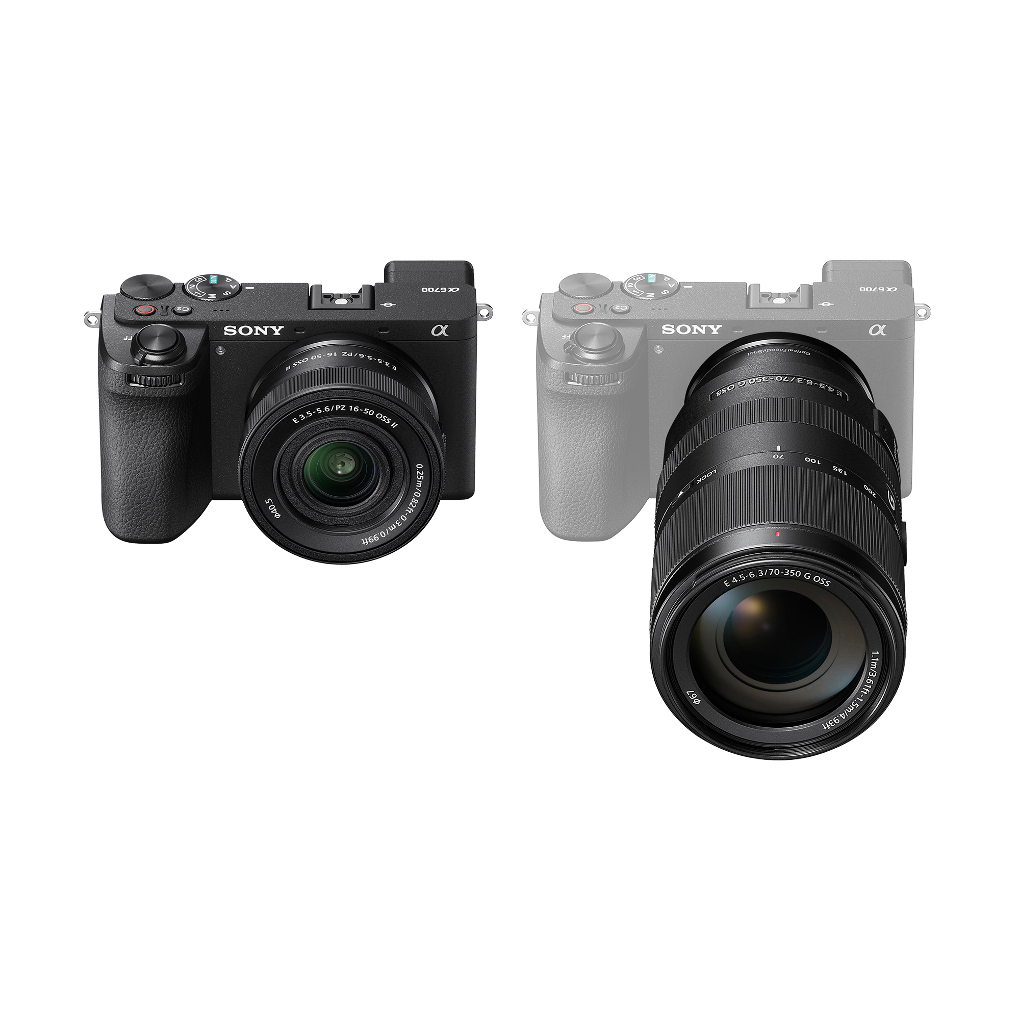 Zwei Sony Kameras: eine schwarze mit 16-50mm Objektiv, eine graue mit 70-350mm Objektiv.