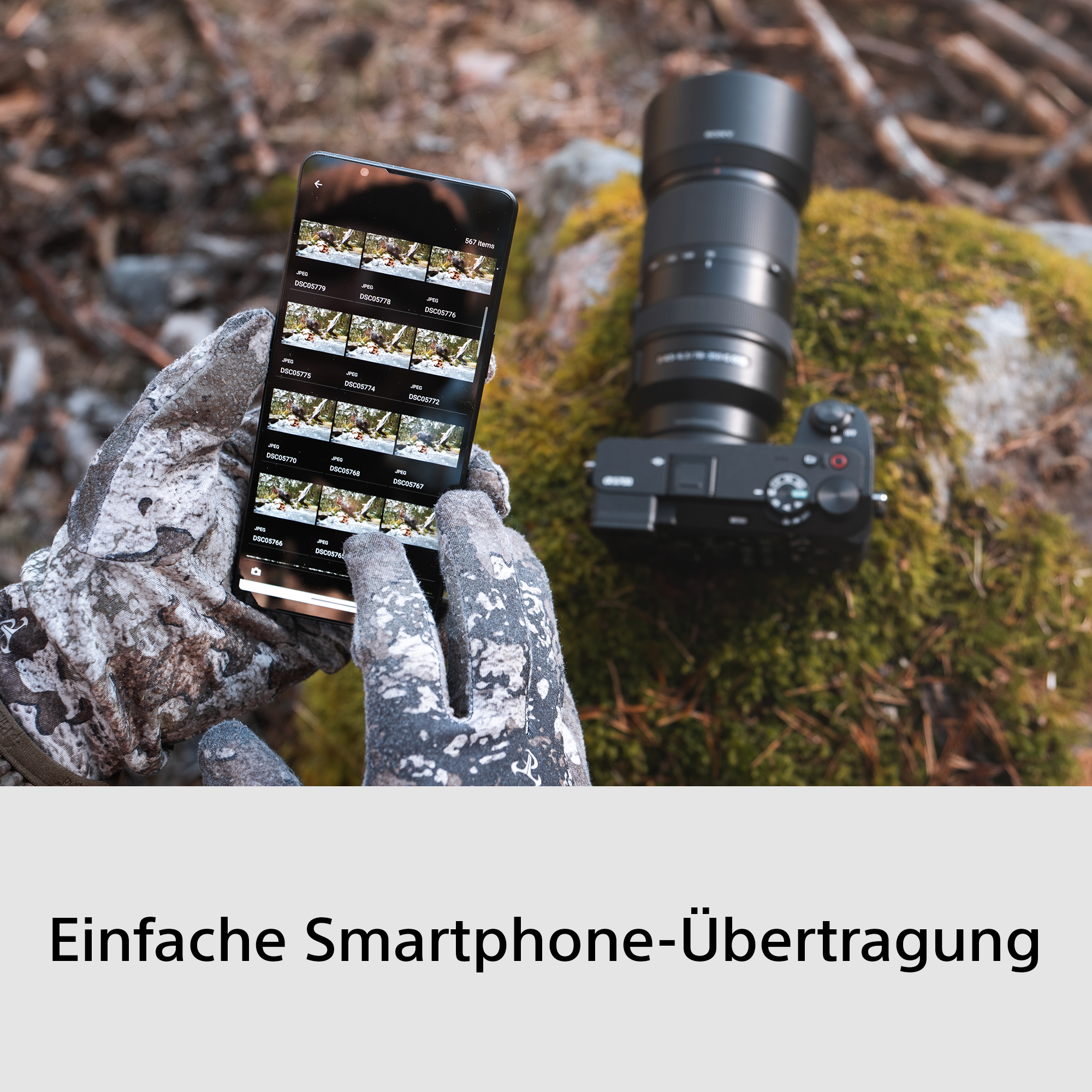 Behandschuhte Hände halten ein Handy mit Fotos neben einer Kamera auf Moos.
