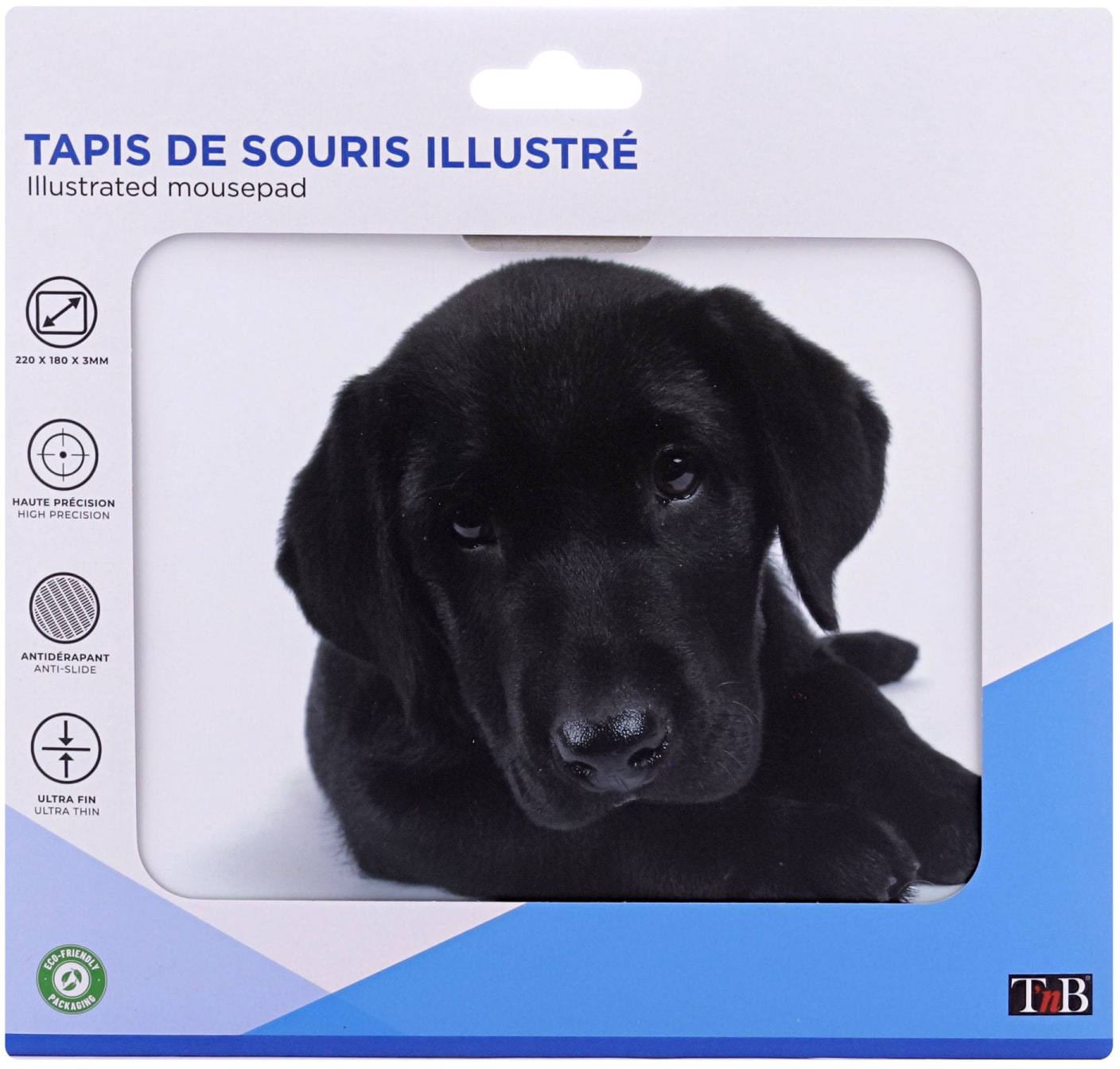 Egy fekete Labrador kölyök kíváncsian néz a kamerába. Termékcsomagolás.
