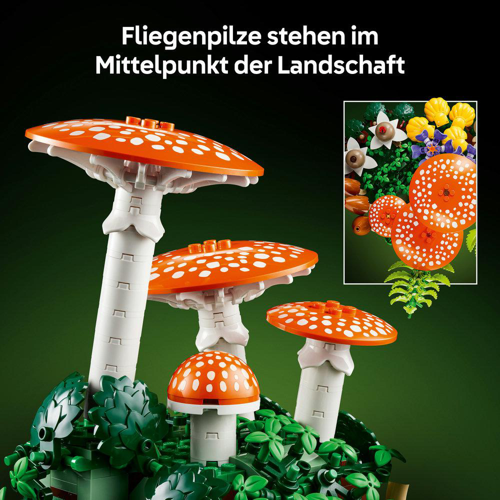 Orange und weiße Fliegenpilze stehen im Fokus, umgeben von grünen Blättern.