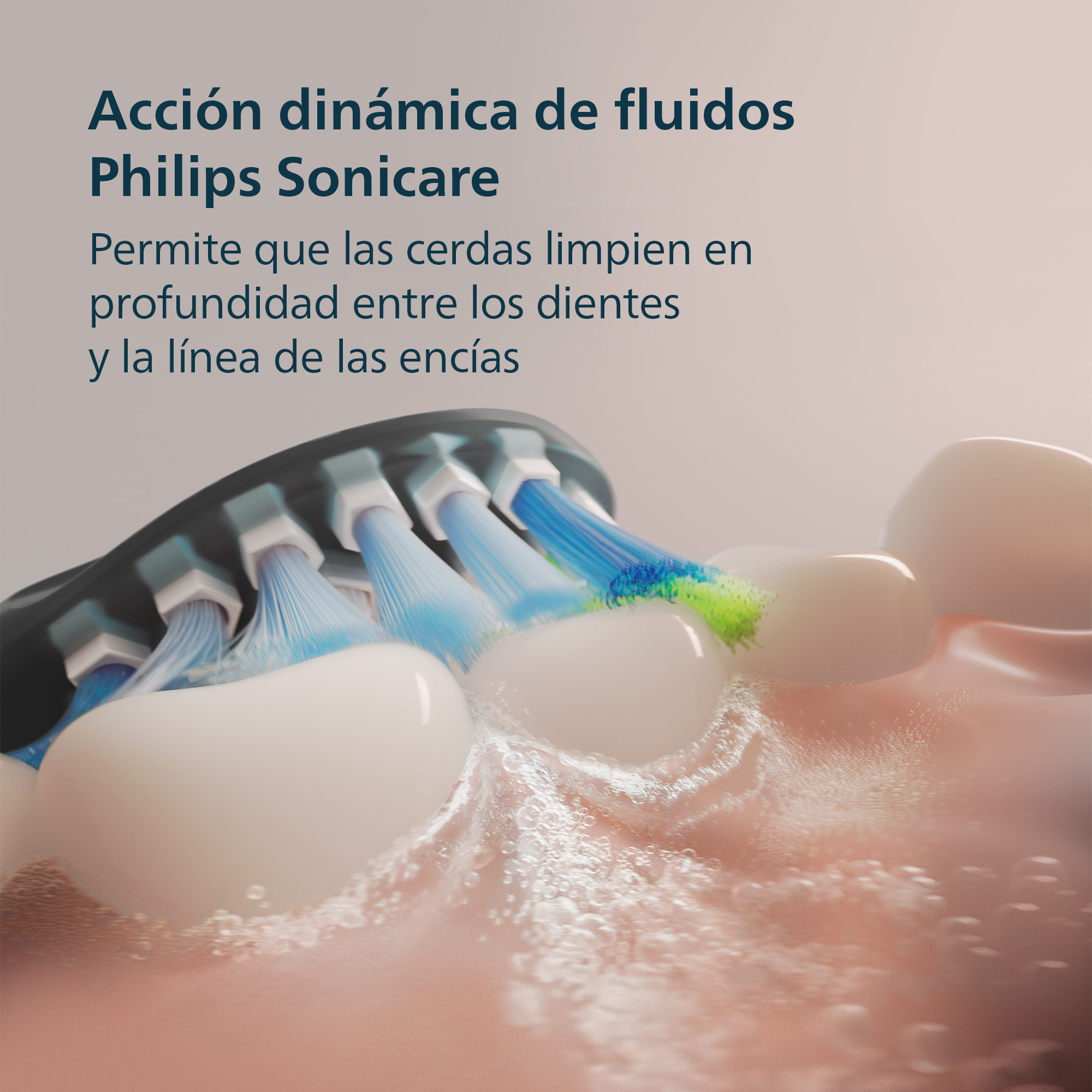 Cabezal de cepillo Philips Sonicare con cerdas azules y verdes limpia dientes.