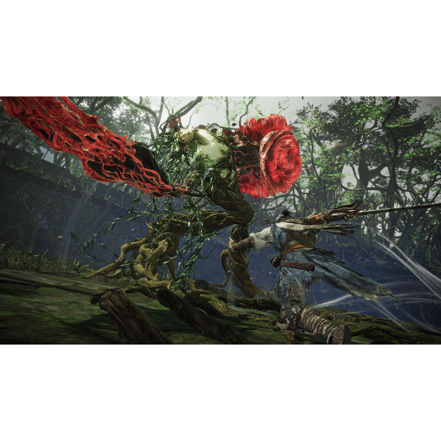 A plant creature fights a warrior in a forest setting.