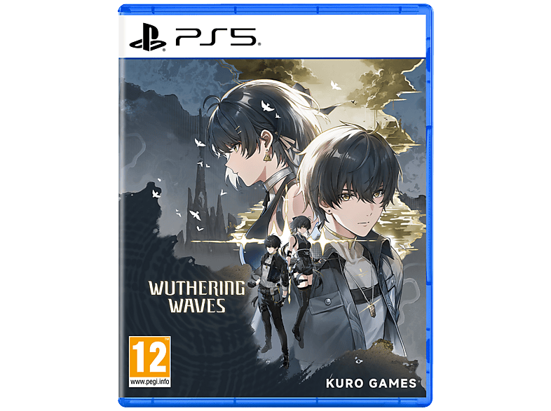 Wuthering Waves Deluxe Collection
