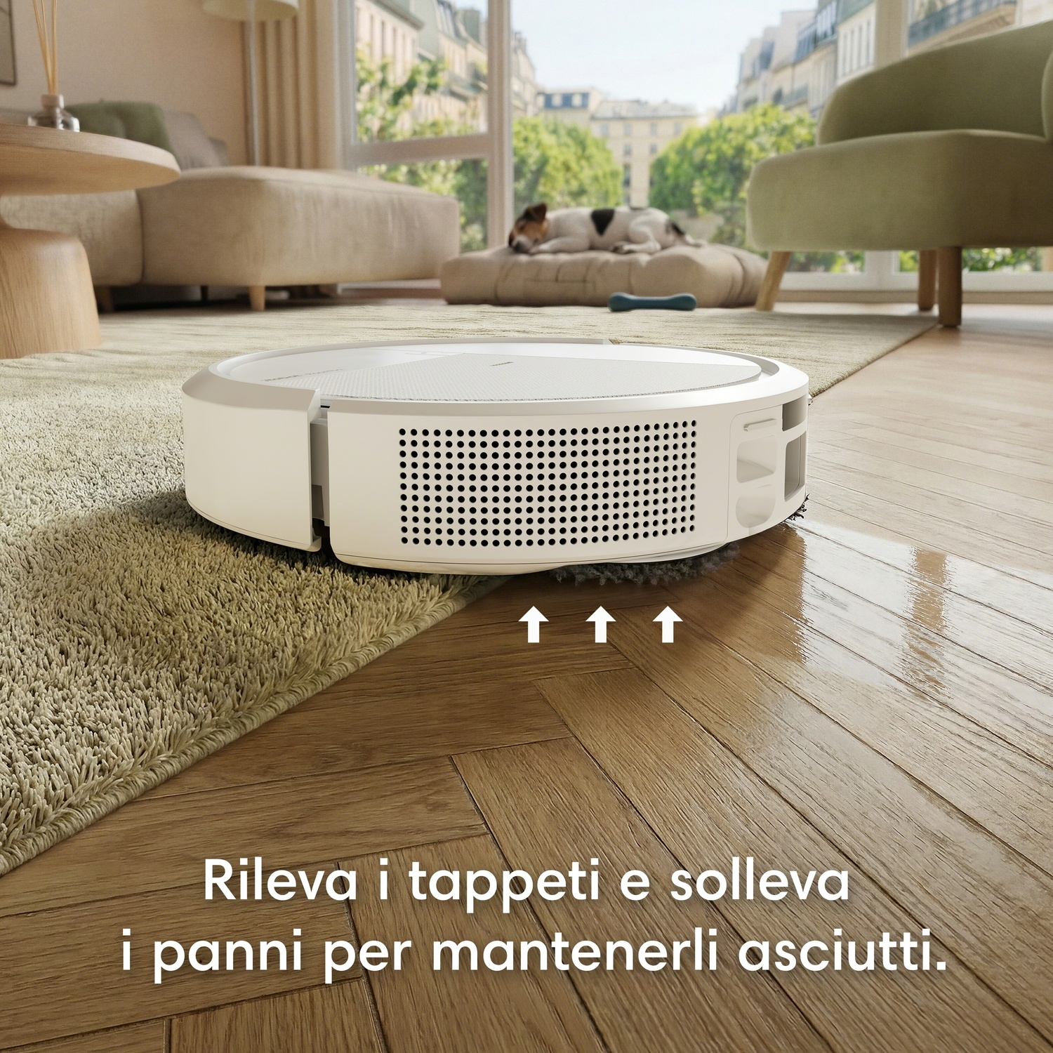 Un robot aspirapolvere bianco pulisce un parquet accanto a un tappeto. Un cane dorme sullo sfondo.