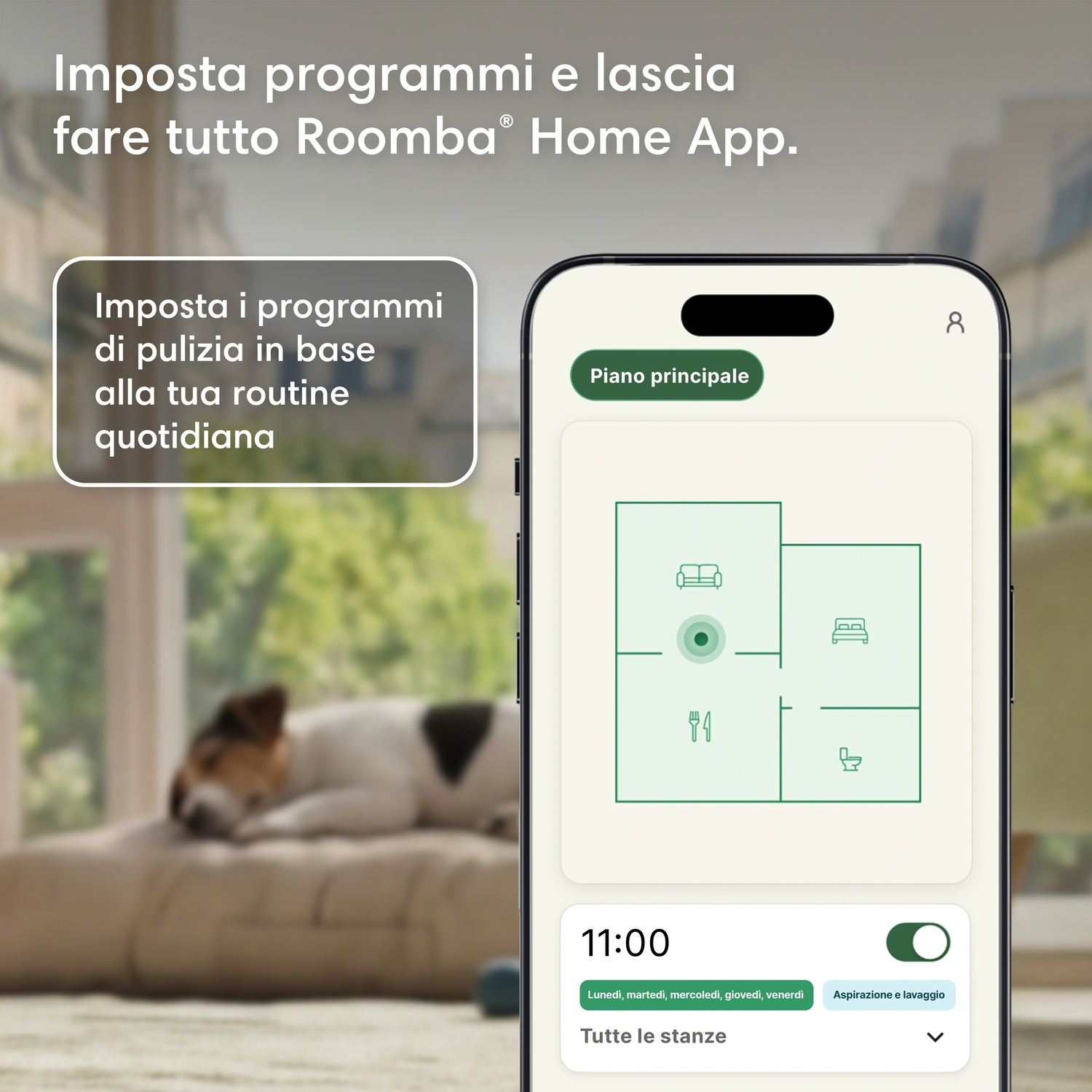 Un cane dorme su un cuscino mentre un'app su un telefono mostra un programma di pulizia.