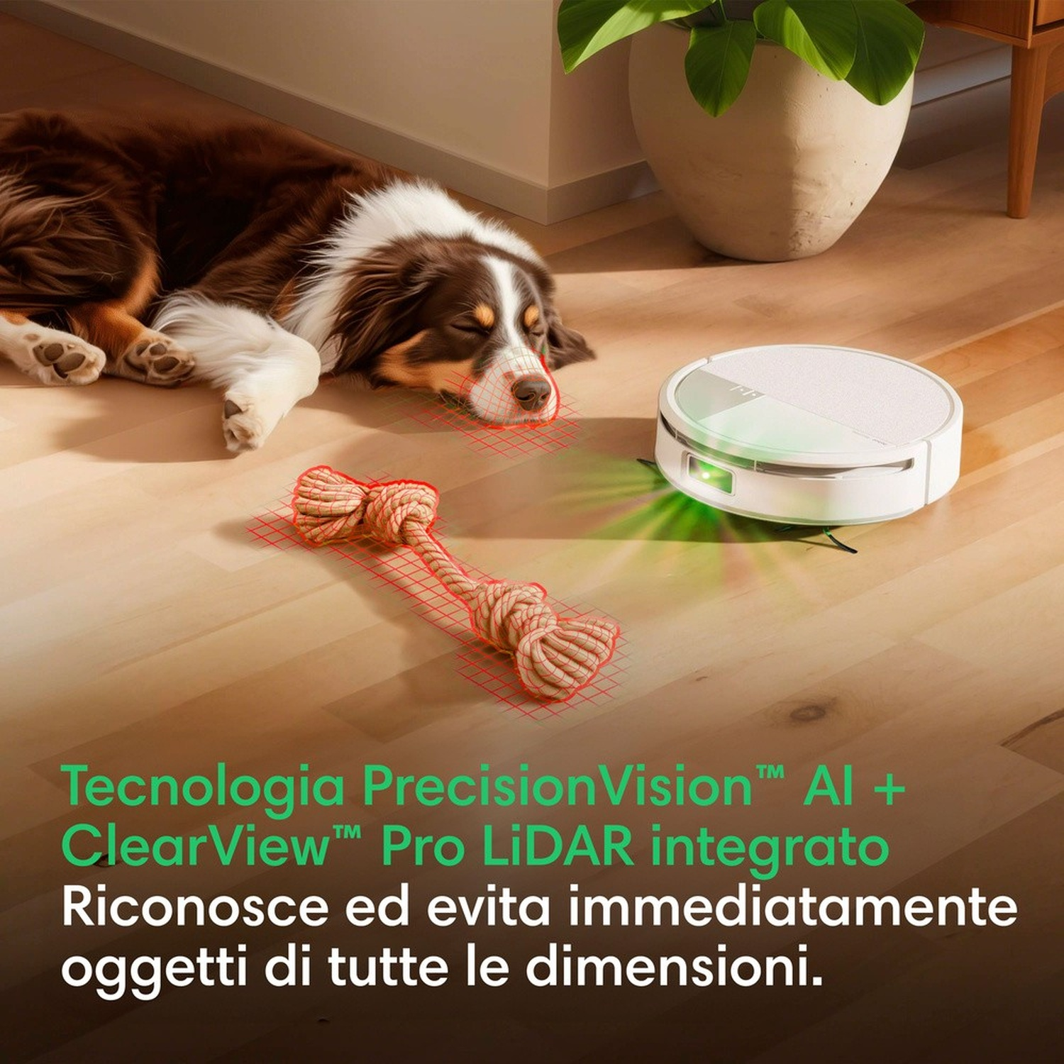 Un cane dorme vicino a un robot aspirapolvere che rileva un giocattolo di corda.