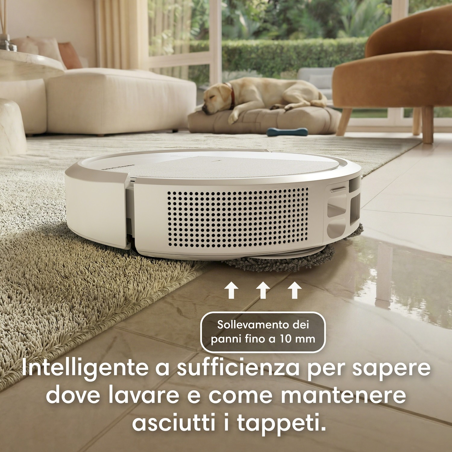 Un robot aspirapolvere bianco pulisce il pavimento vicino a un tappeto, con un cane che dorme sullo sfondo.