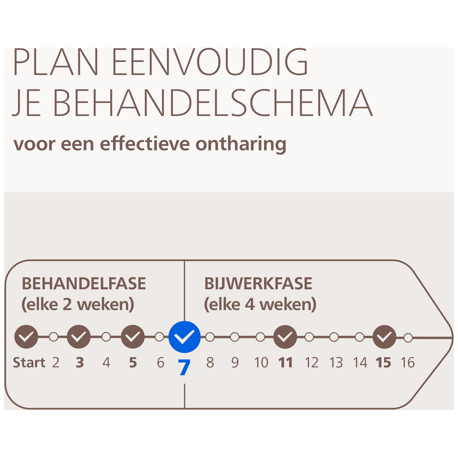 Planifiez votre calendrier de traitement pour une épilation efficace. Phase de traitement : toutes les 2 semaines. Phase d'entretien : toutes les 4 semaines.