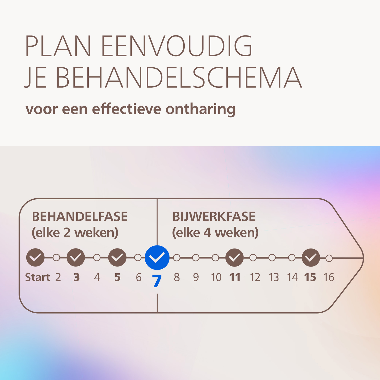 Planifiez votre calendrier de traitement et de suivi avec des phases numérotées.