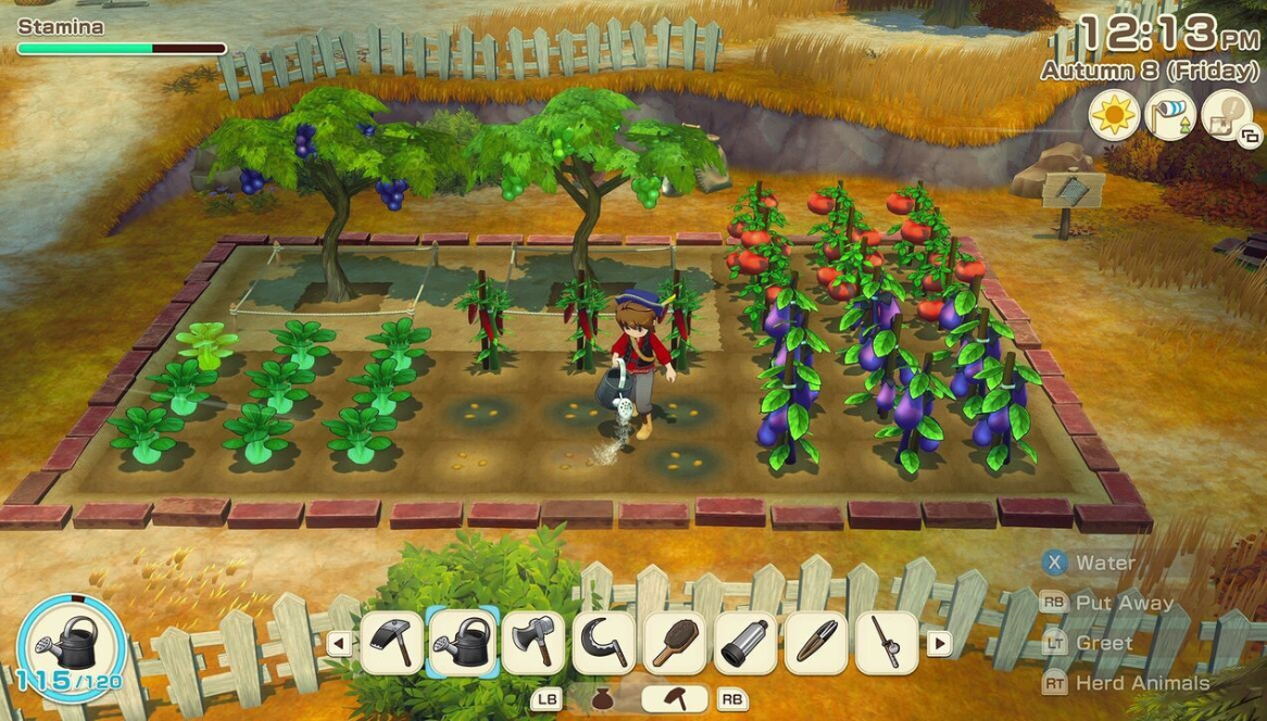 Un niño riega plantas en un jardín con tomates, berenjenas y arándanos.