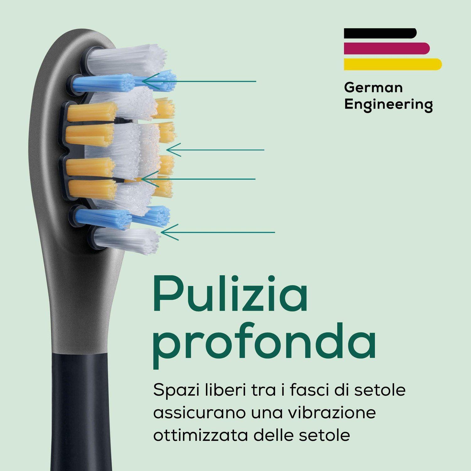 Primo piano di una testina di spazzolino con setole blu, bianche e gialle. Testo German Engineering.