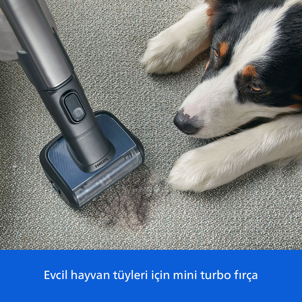 Bir elektrikli süpürge, dinlenen bir köpeğin yanındaki gri halıdan evcil hayvan tüyünü temizliyor.