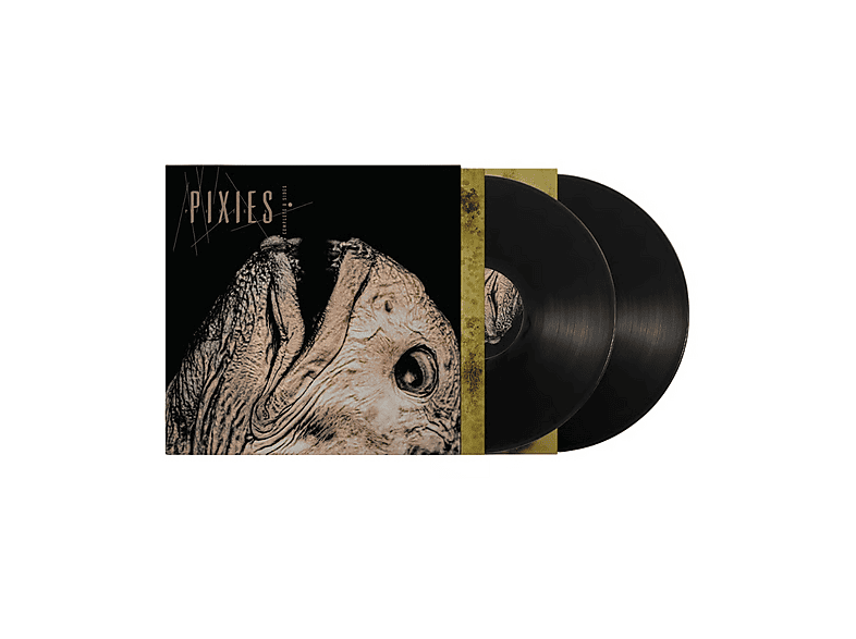 Pixies Complete B-sides: 1988-1997