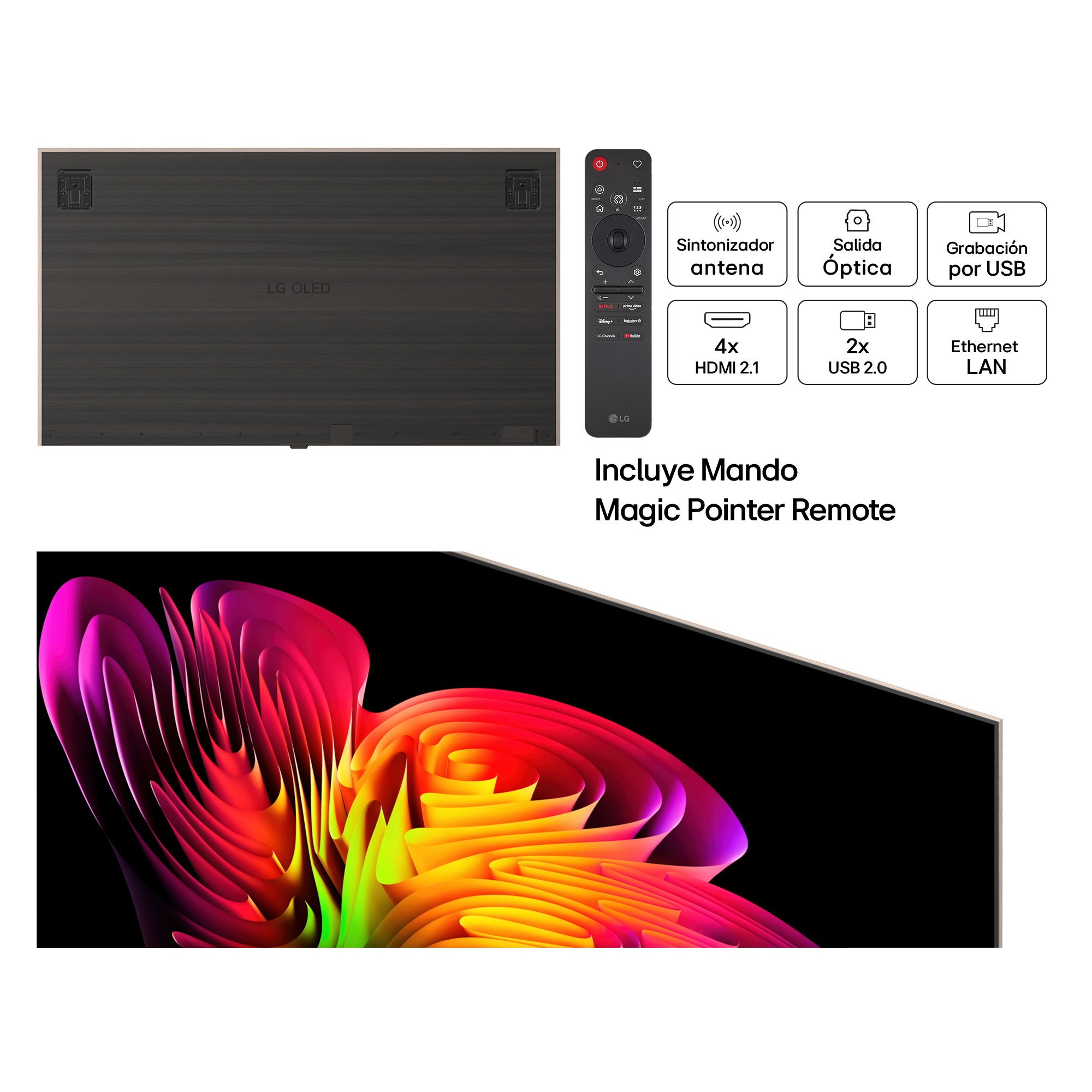 Parte trasera y pantalla de un TV LG OLED, un Magic Remote e iconos de puertos.