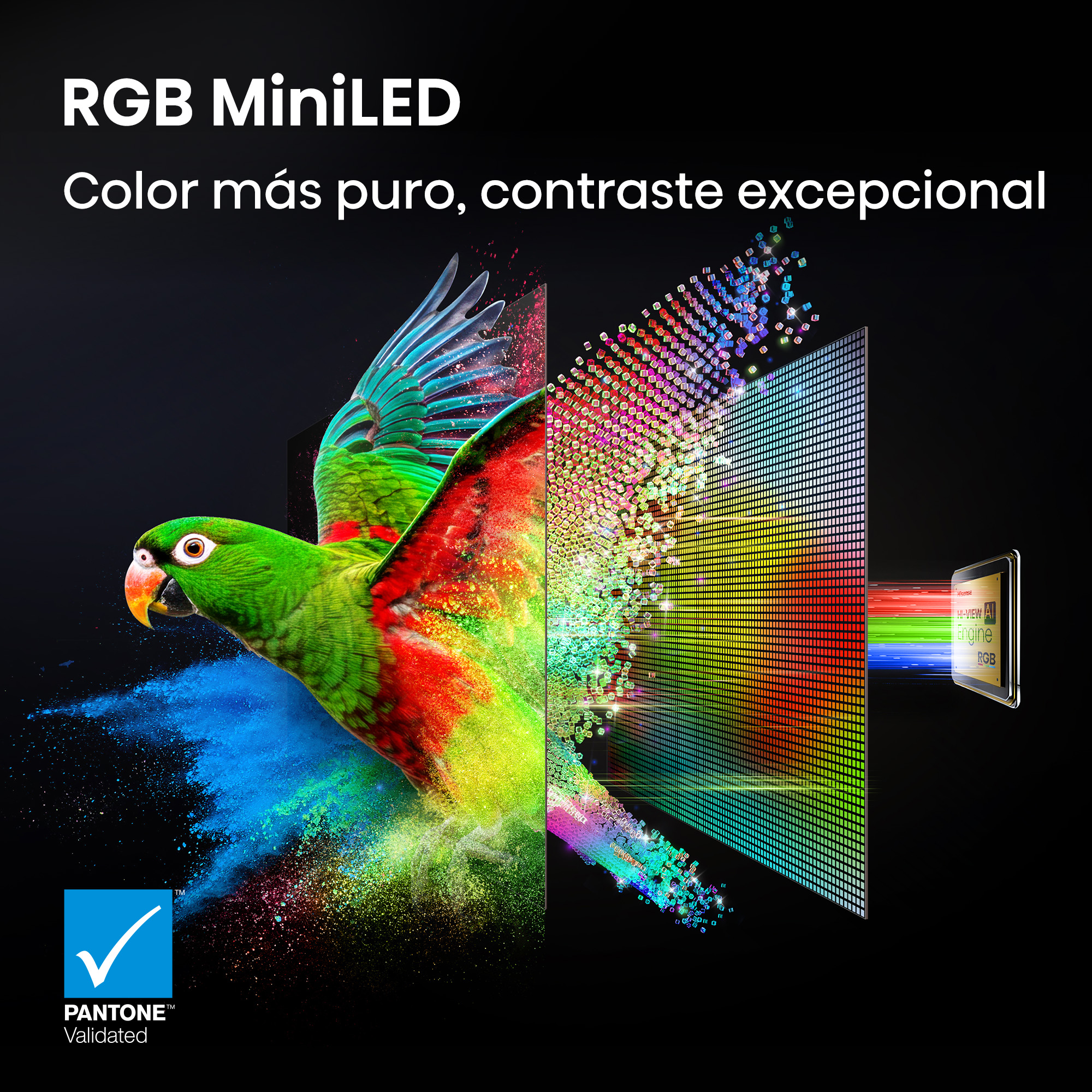 Un loro colorido sale de una pantalla, mostrando tecnología RGB MiniLED y gran contraste. "RGB Mini LED, color más puro, contraste excepcional"