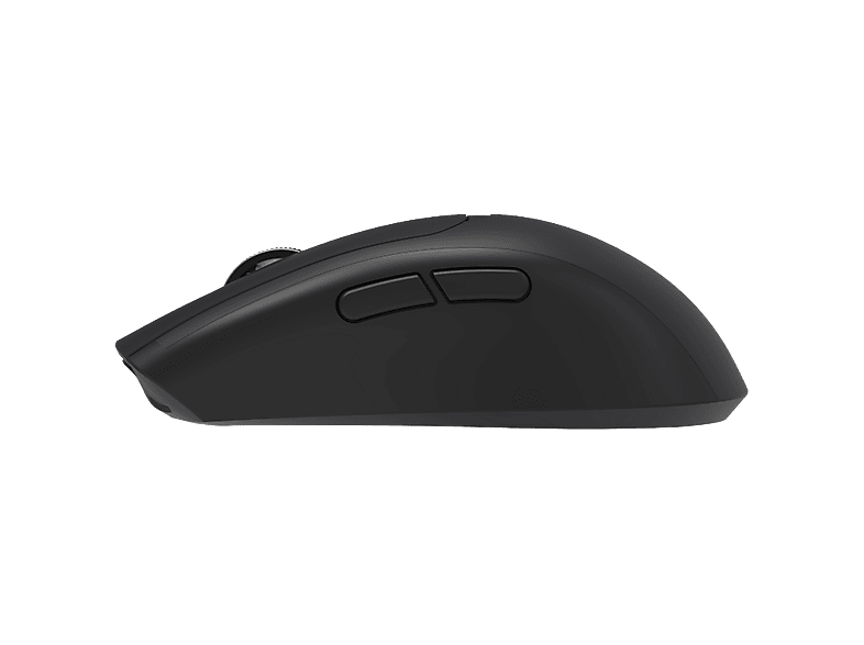 Qware Souris Sans Fil Laredo