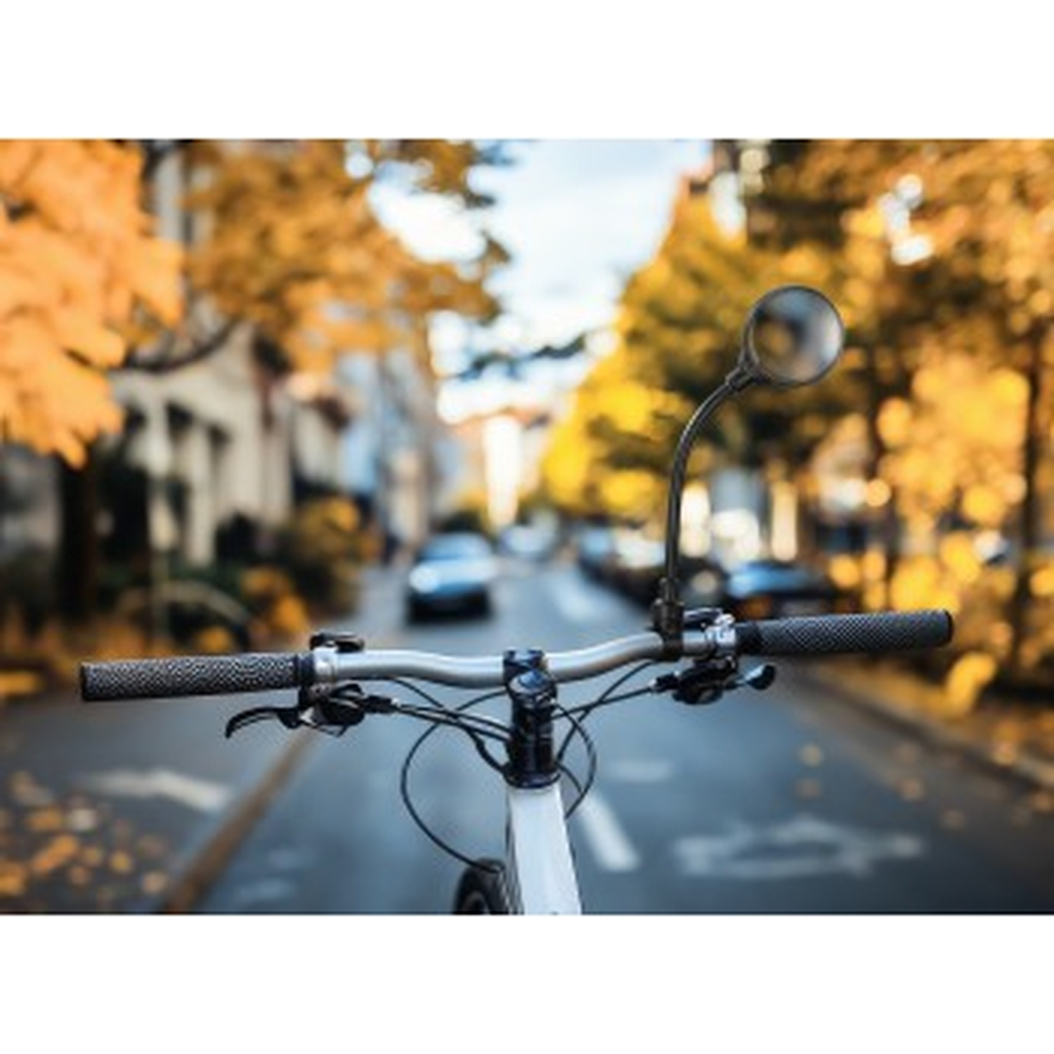 Vue à la première personne d'un guidon de vélo avec rétroviseur dans une rue aux arbres d'automne.