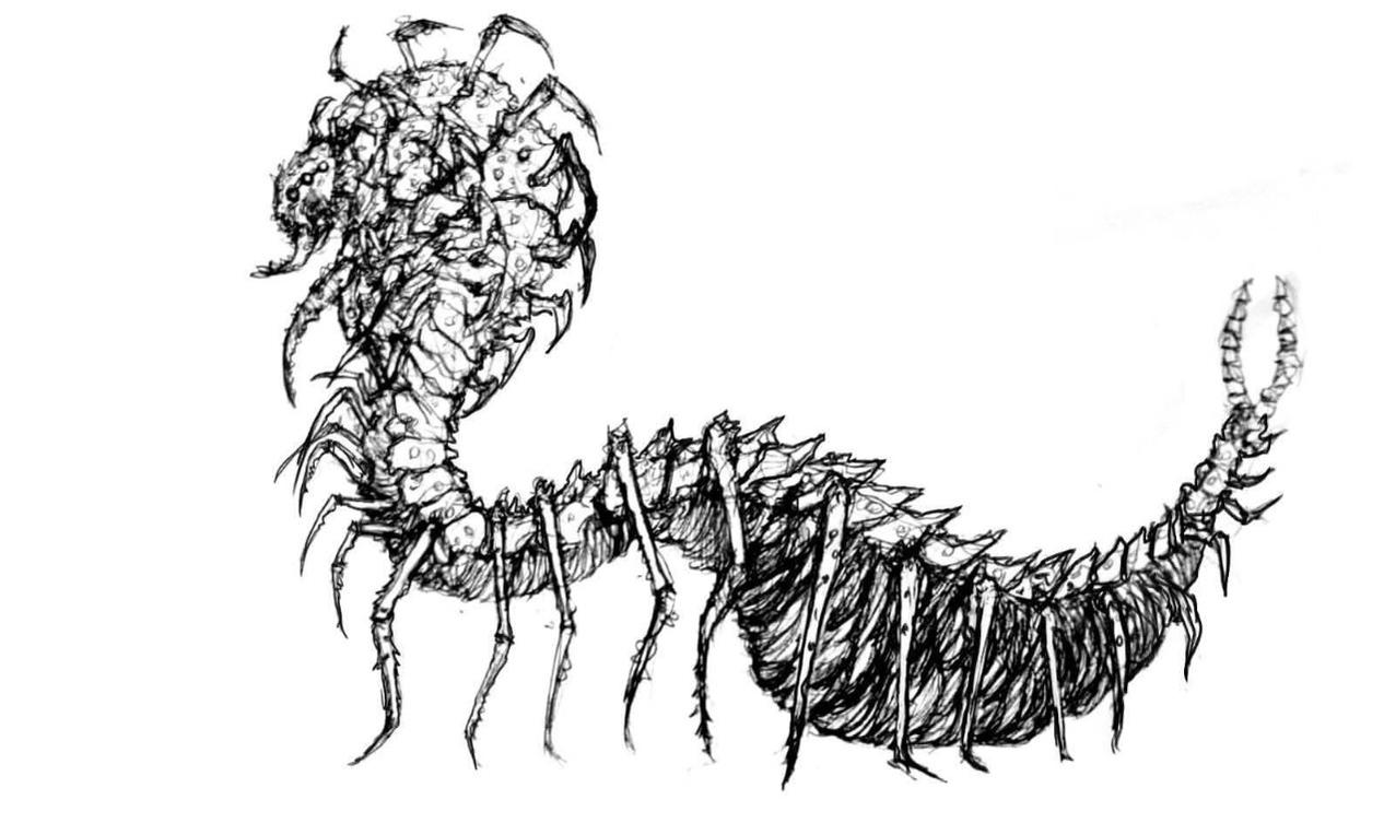 Eine detaillierte Schwarz-Weiß-Skizze eines riesigen, insektenartigen Monsters mit vielen Beinen und Stacheln.