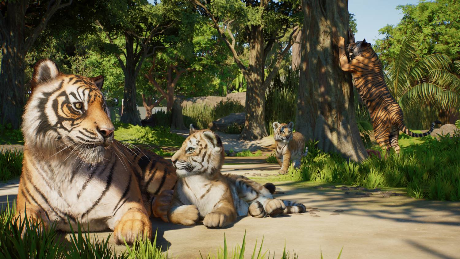 Una tigresa descansa en la hierba con sus cachorros, mientras otro tigre trepa a un árbol.