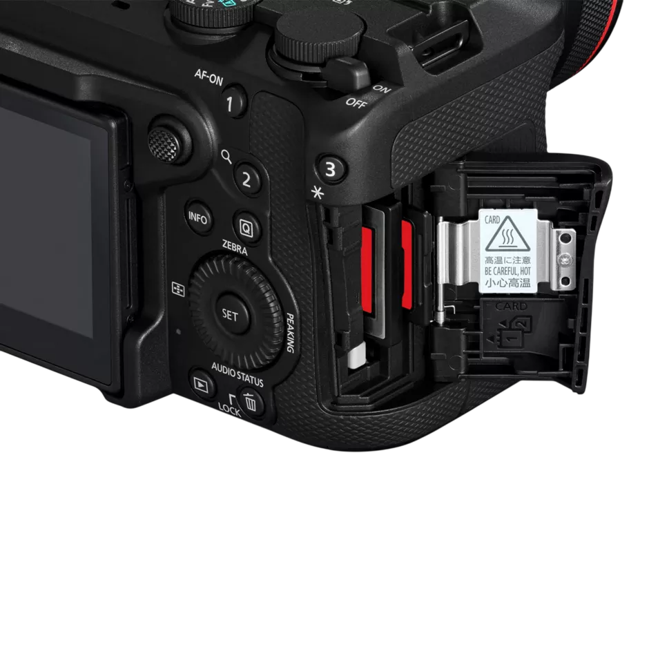 CANON EOS R6 V Systemkameragehäuse