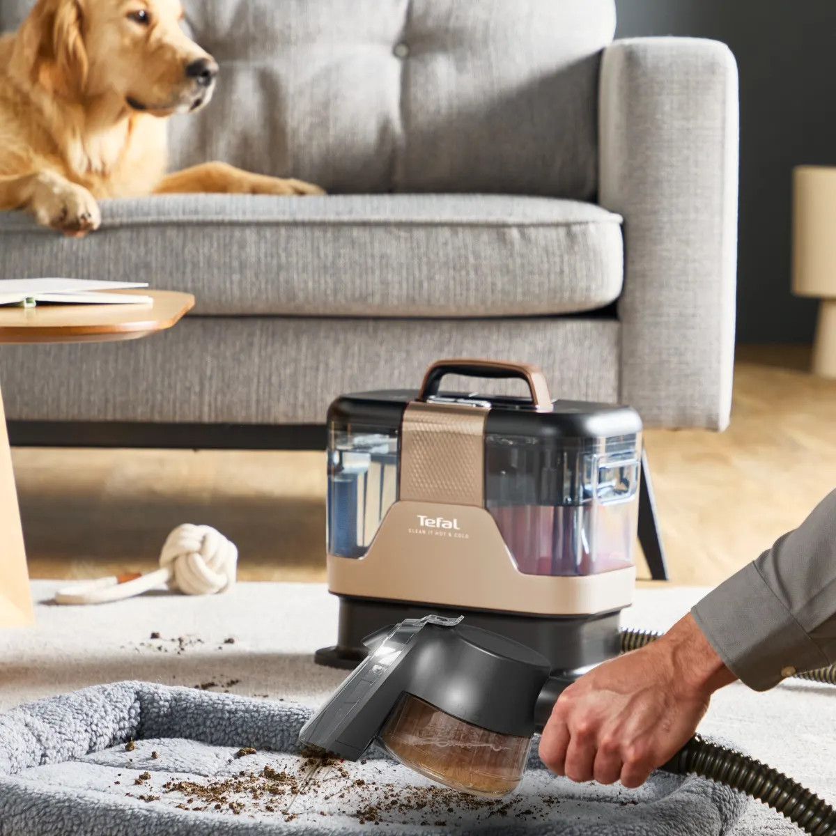 Osoba czyści legowisko dla psa za pomocą odkurzacza Tefal, podczas gdy pies patrzy z szarej kanapy.