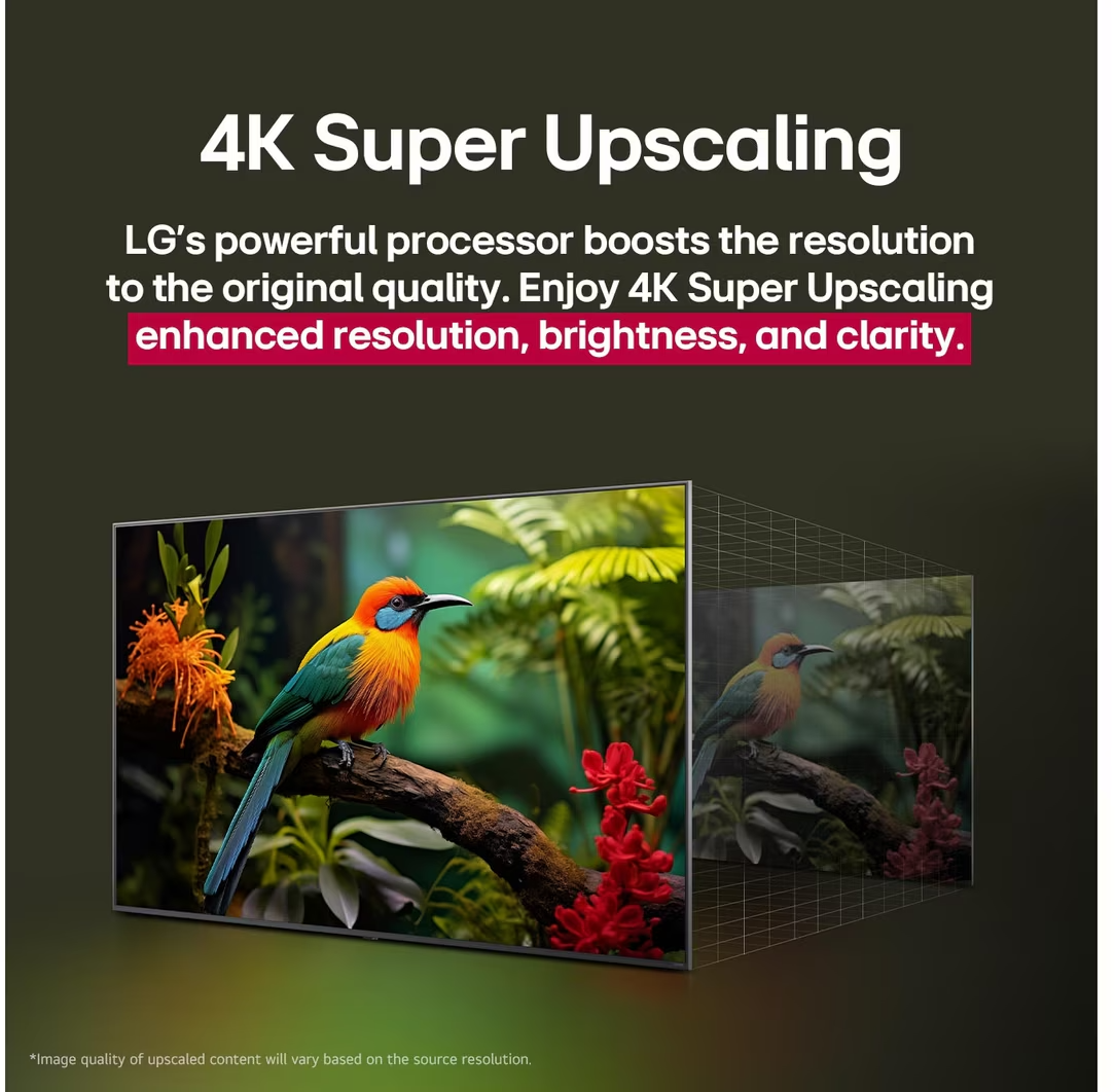 Egy tévé egy színes madarat mutat ágon, 4K Super Upscaling felirattal.
